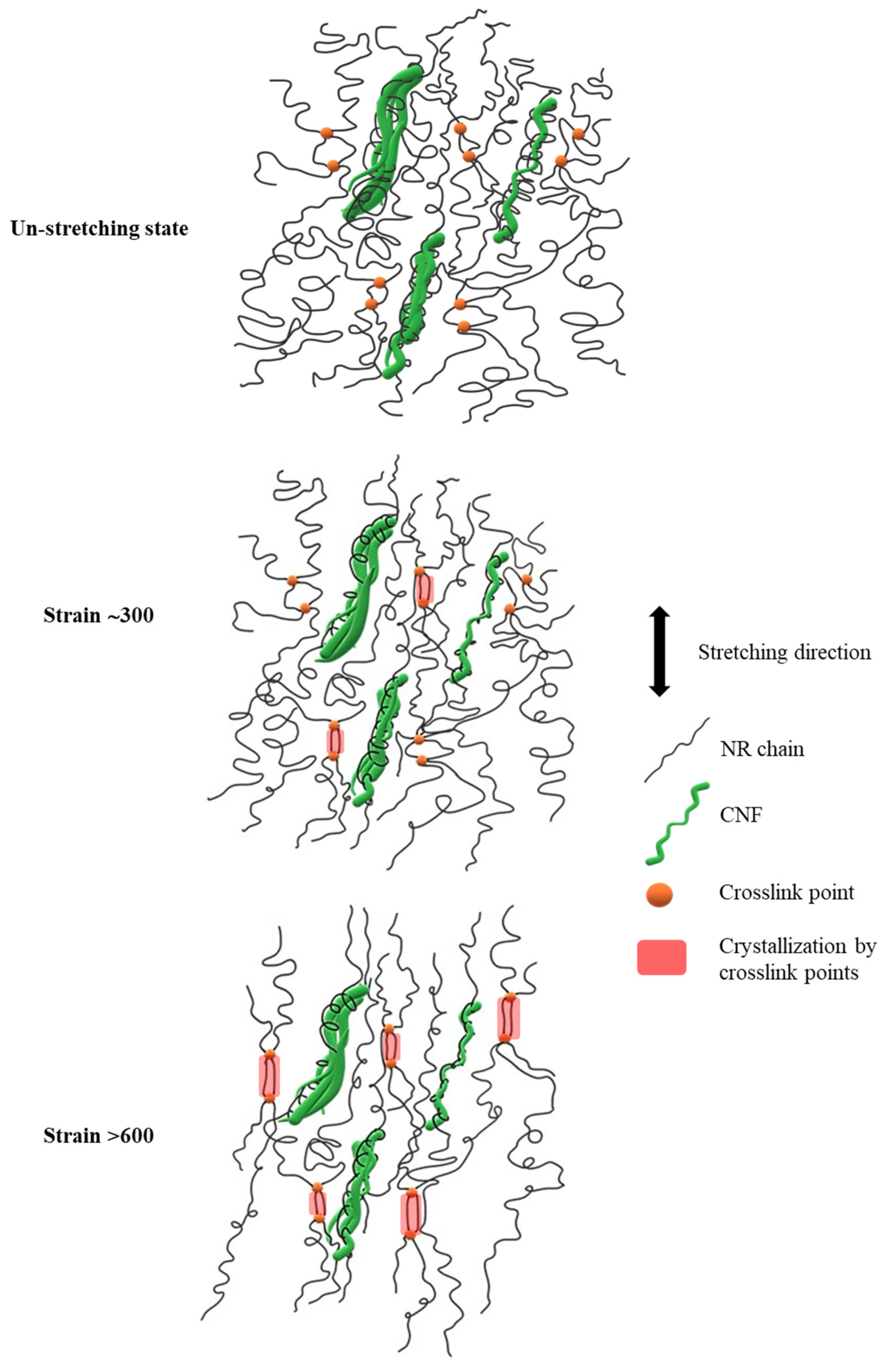 Polymers 15 01274 g009 Polymers 15 01274 g009