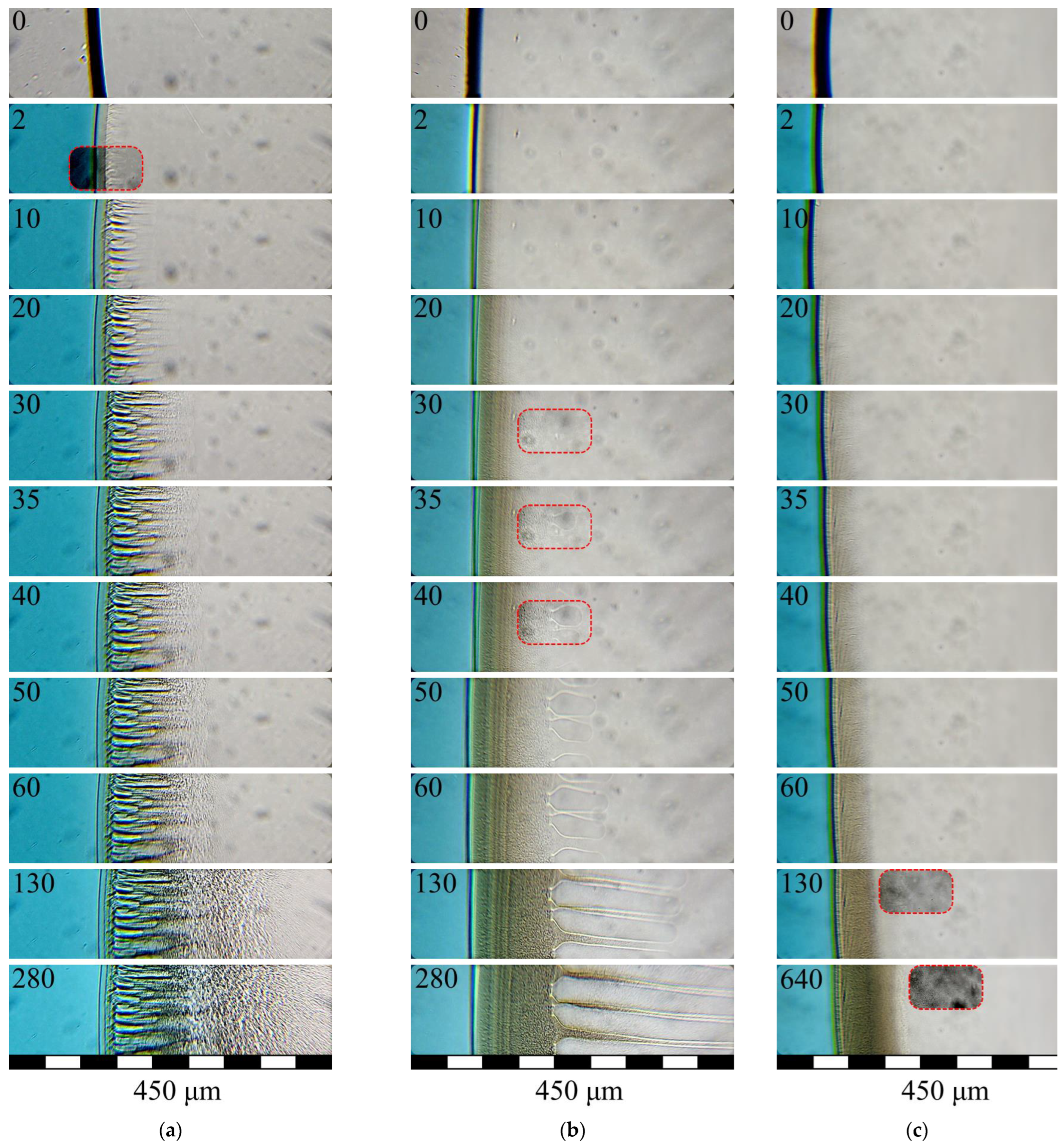 Polymers 15 01281 g005