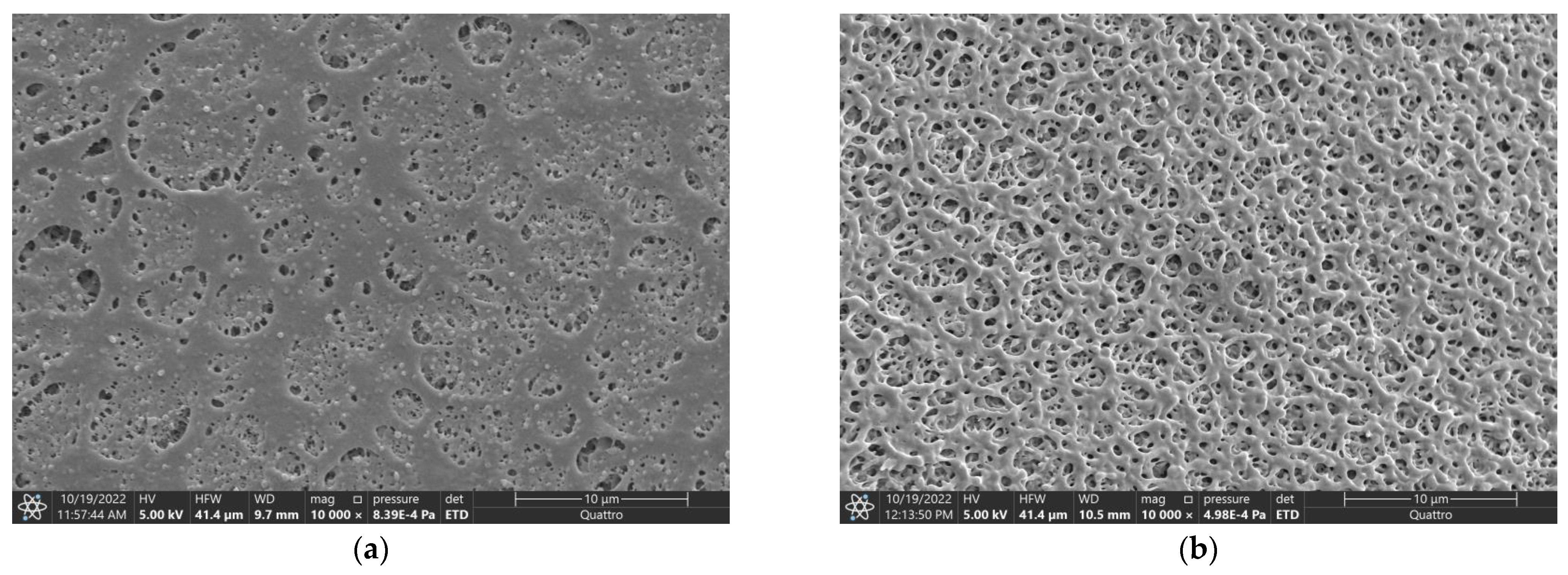 Polymers 15 01281 g009