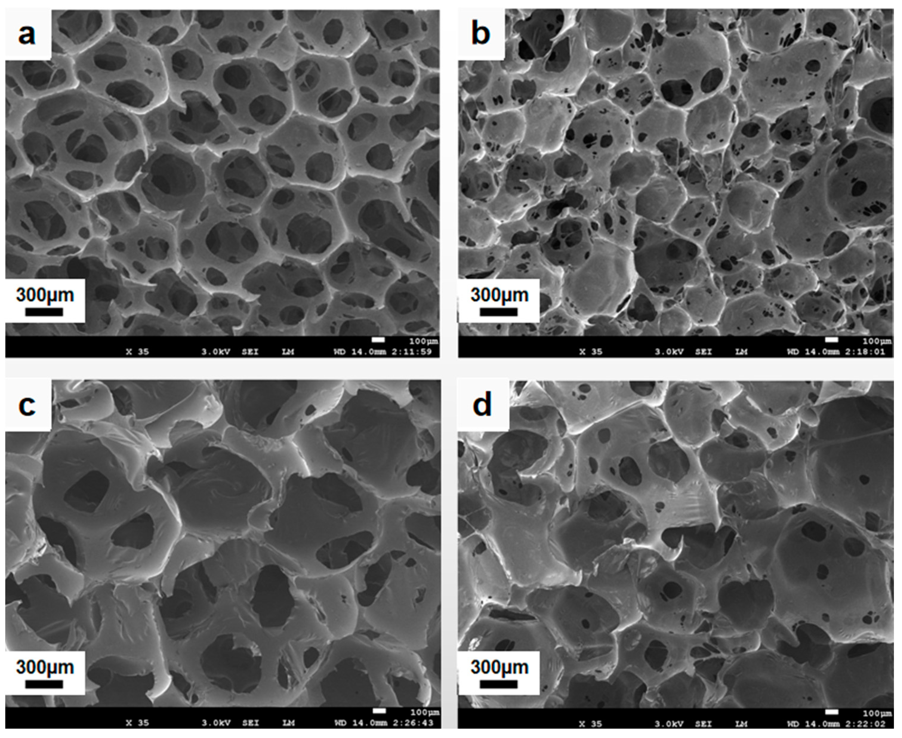Polymers 15 01284 g002 Polymers 15 01284 g002