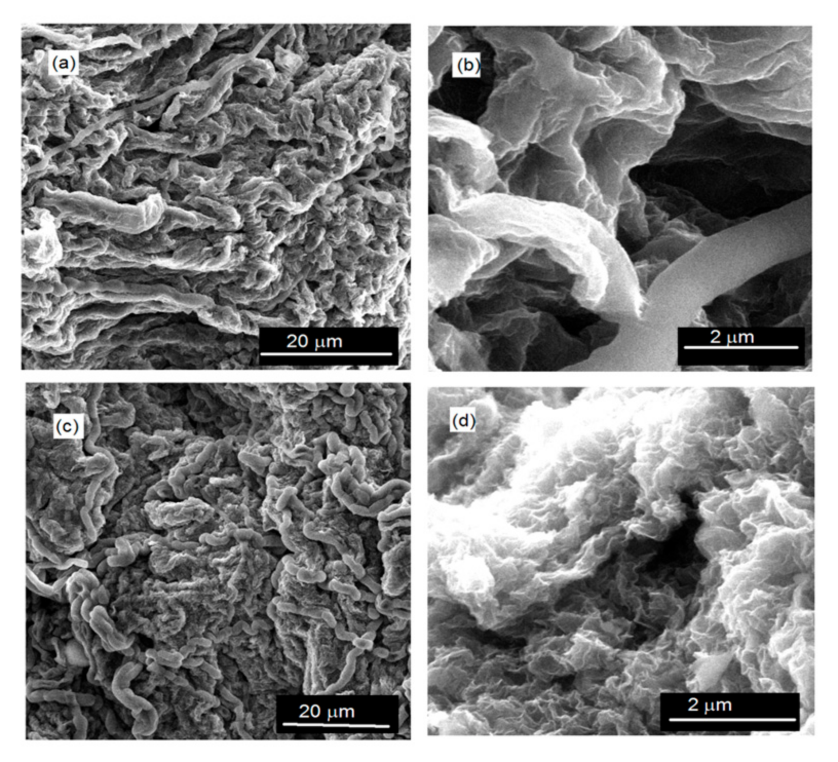 Polymers 15 01287 g002 Polymers 15 01287 g002