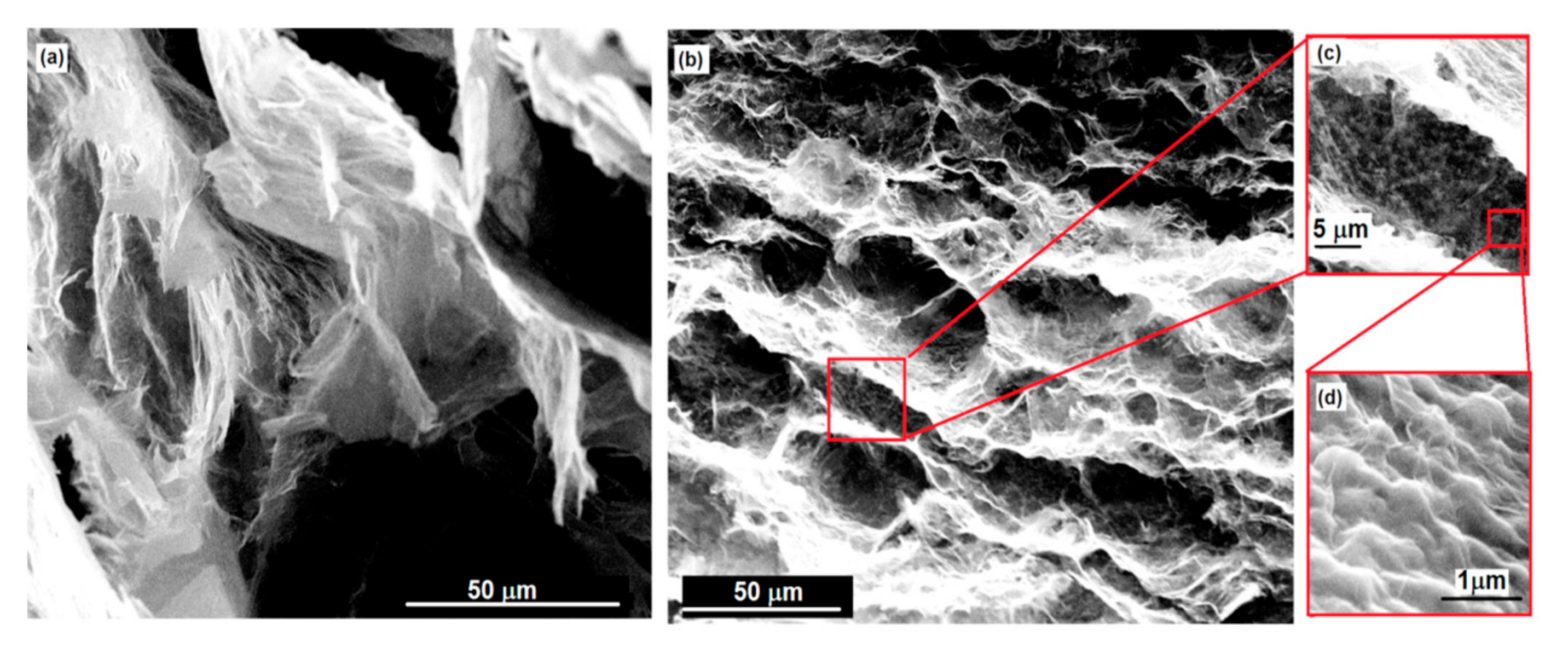 Polymers 15 01287 g003 Polymers 15 01287 g003