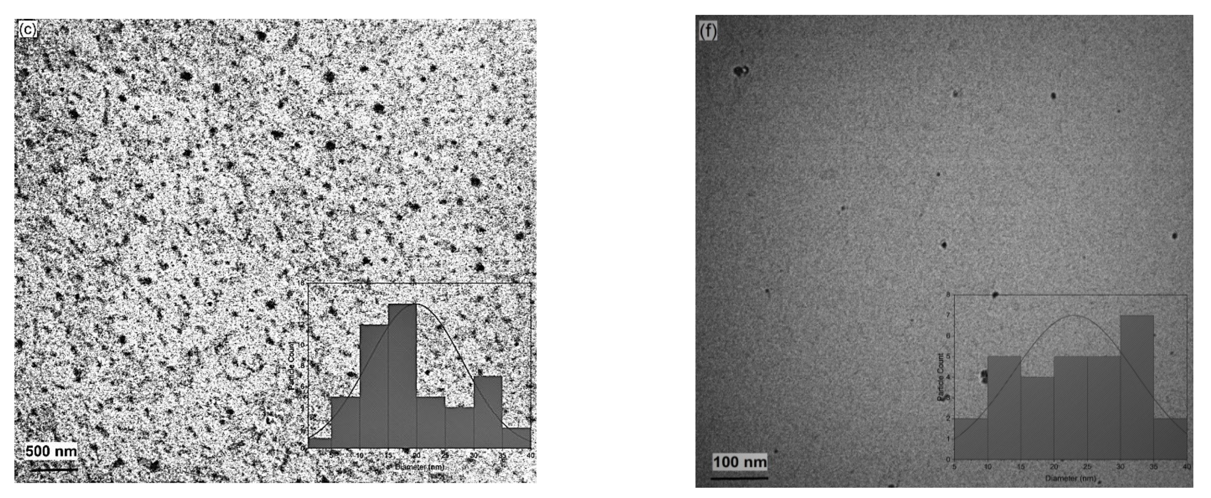 Polymers 15 01289 g008b