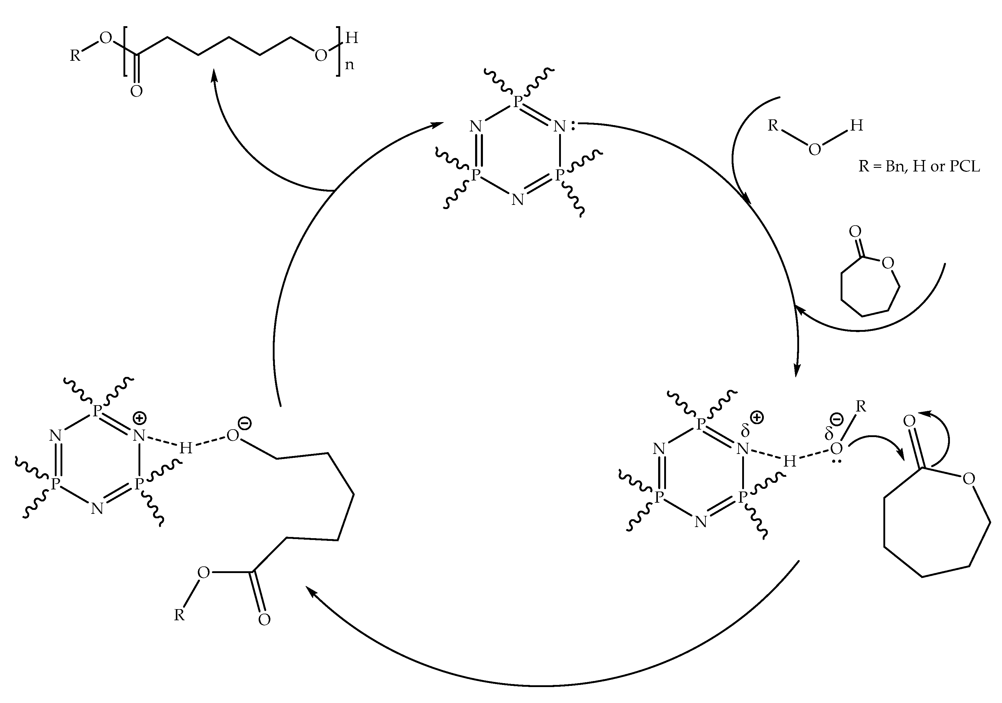 Polymers 15 01291 sch002 Polymers 15 01291 sch002