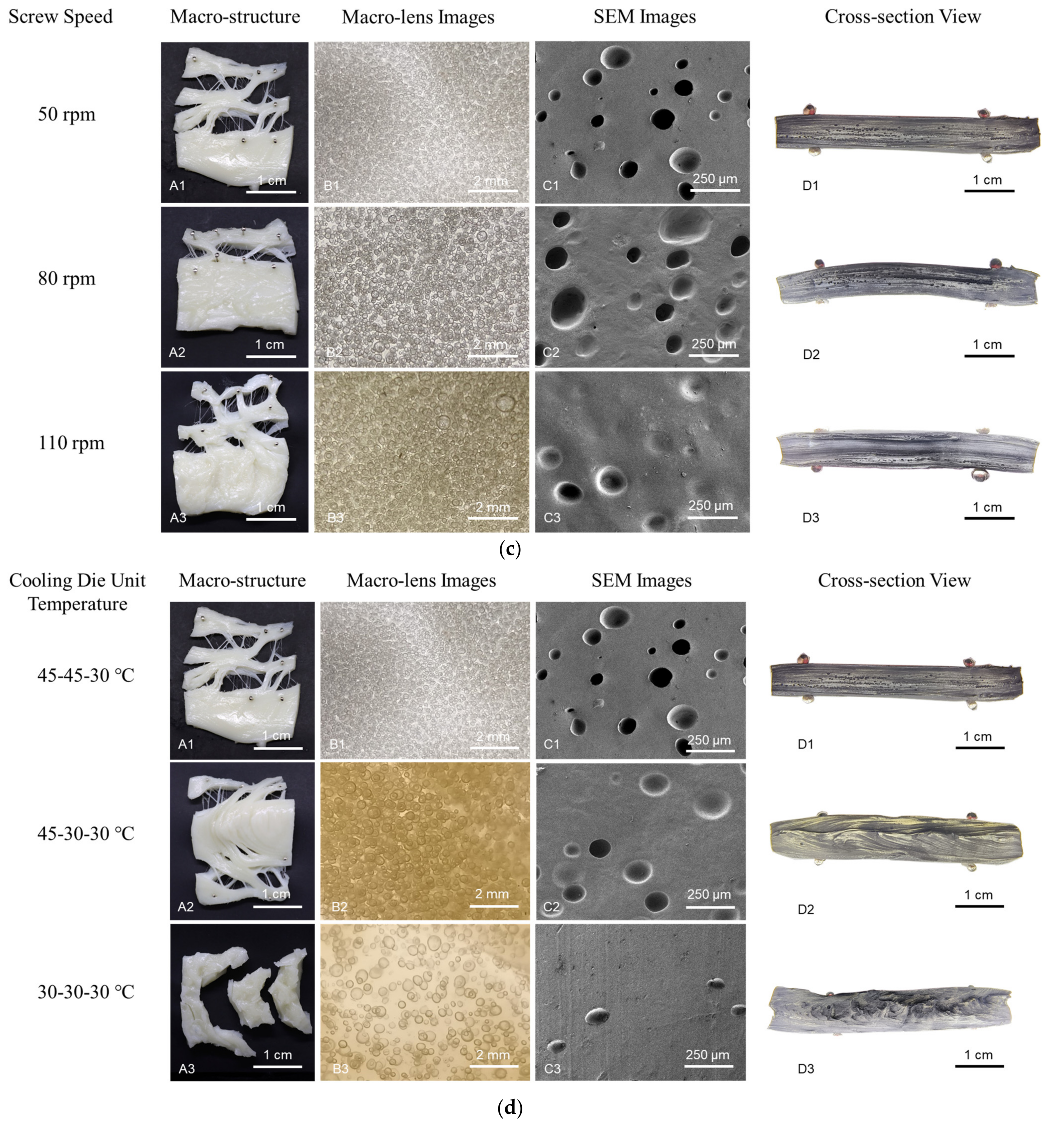 Polymers 15 01292 g003b