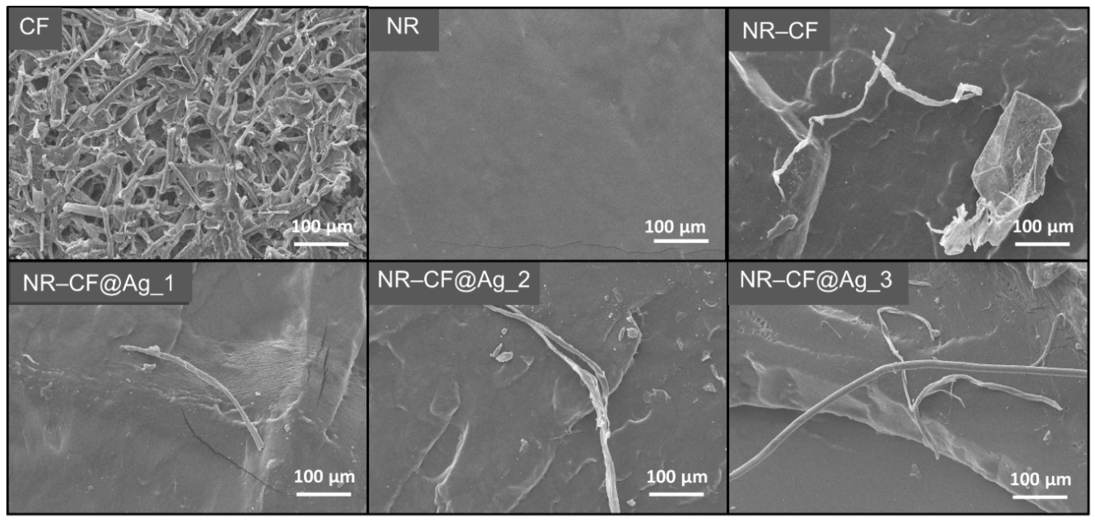 Polymers 15 01295 g003 Polymers 15 01295 g003