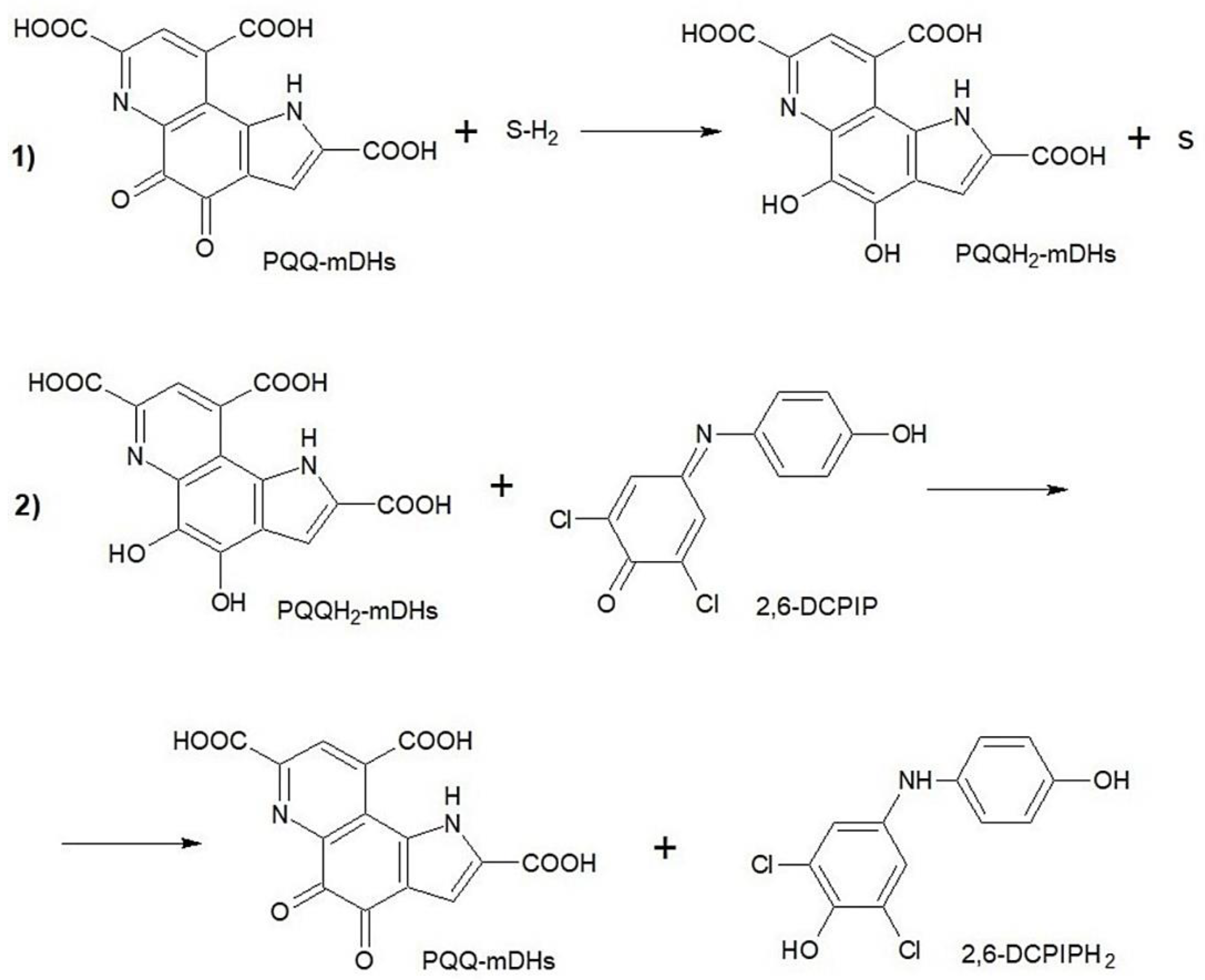 Polymers 15 01296 g002