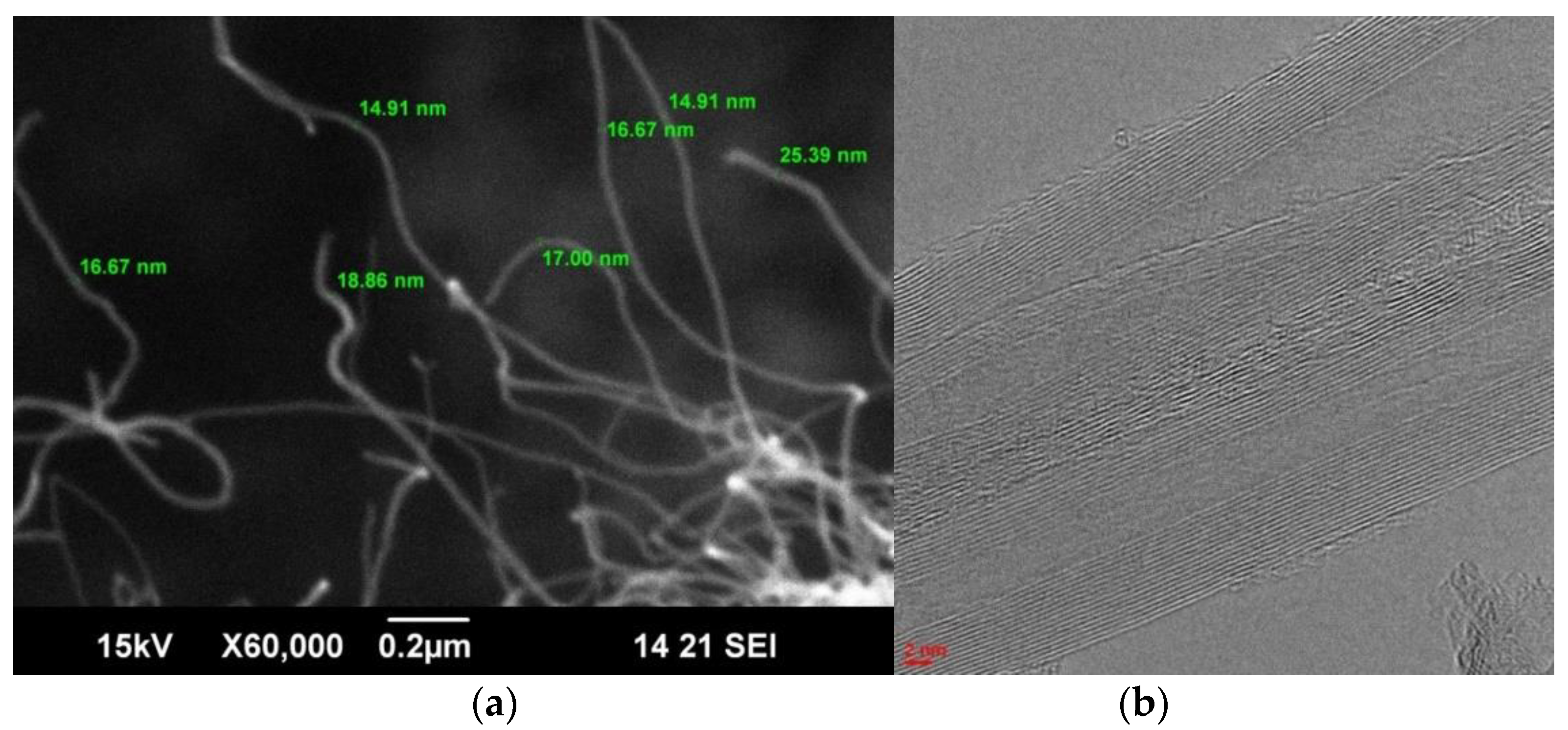 Polymers 15 01296 g003