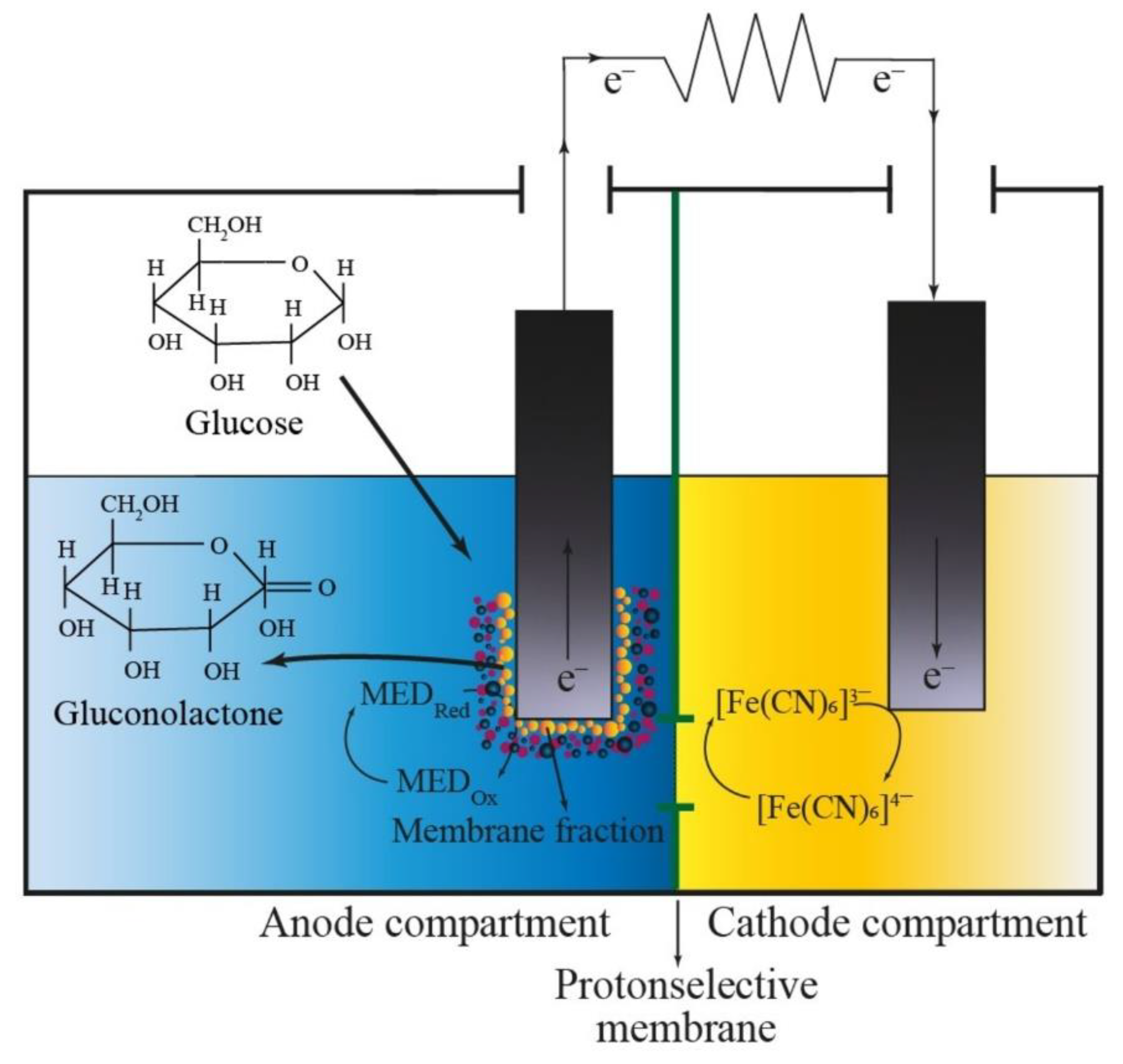 Polymers 15 01296 g008