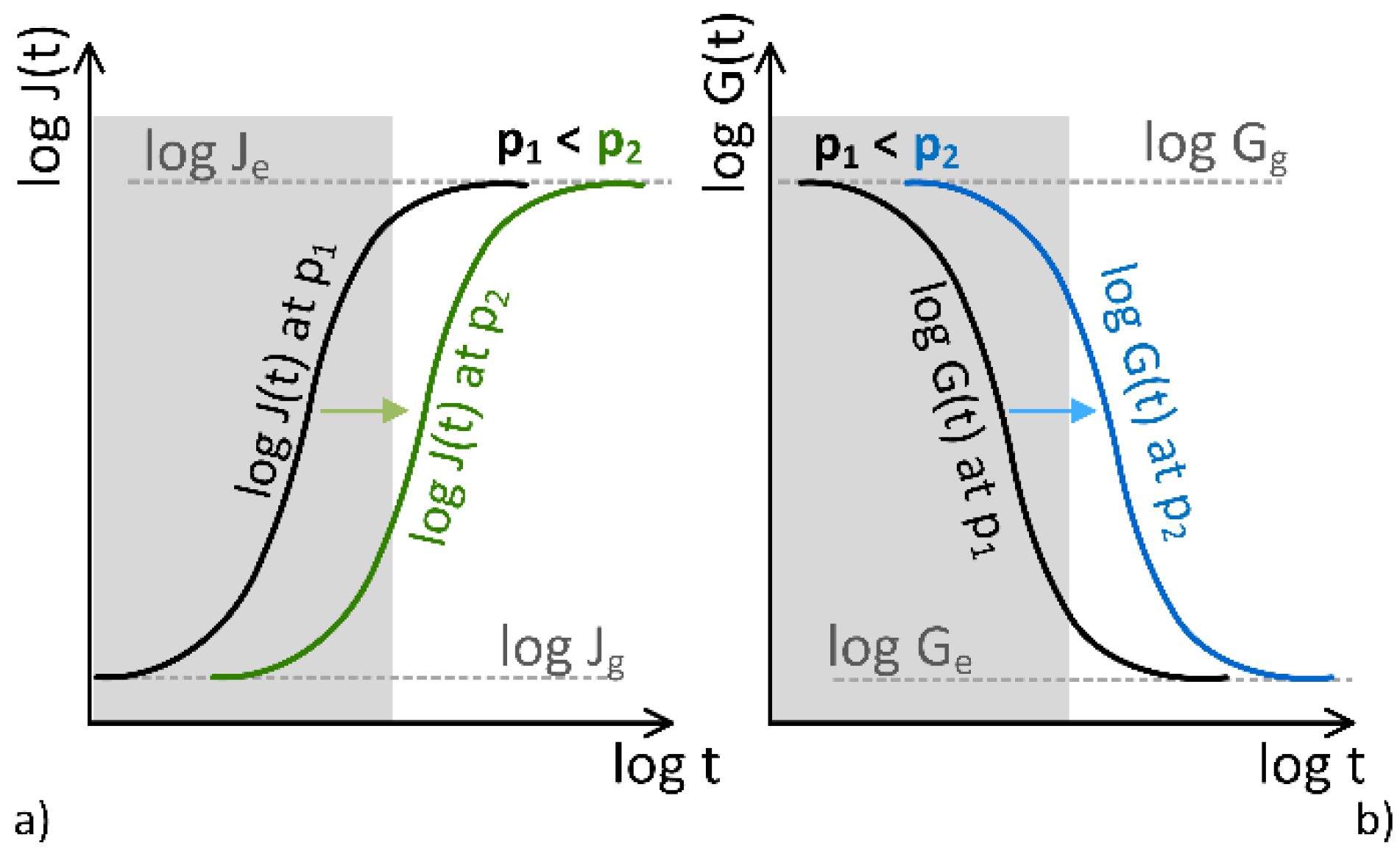 Polymers 15 01299 g001