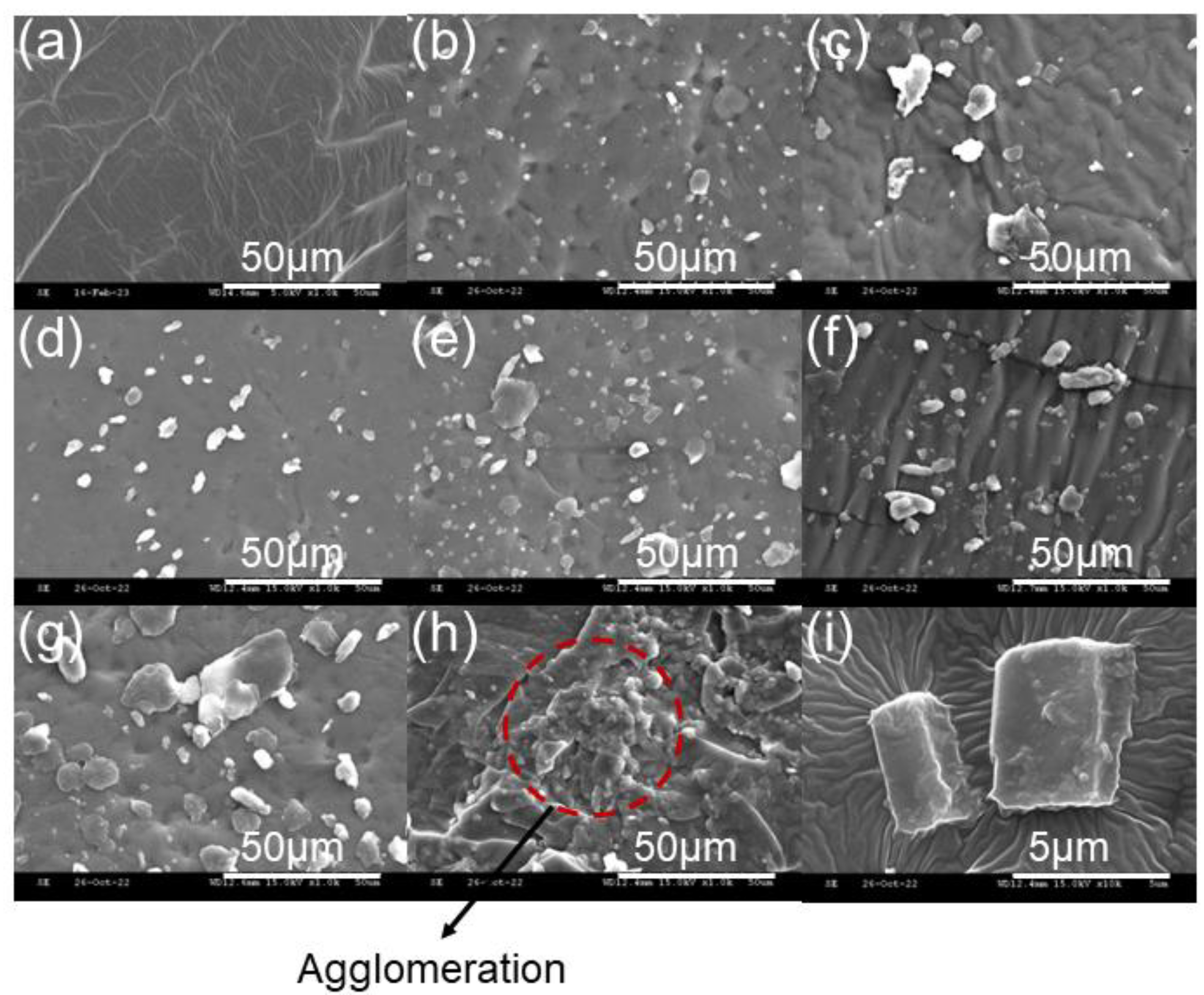 Polymers 15 01300 g002 Polymers 15 01300 g002
