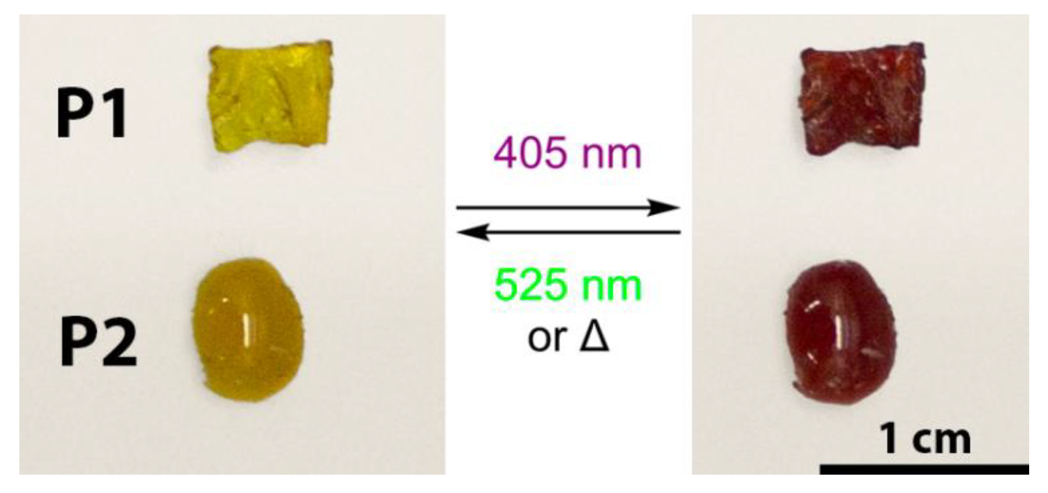 Polymers 15 01306 g002 Polymers 15 01306 g002