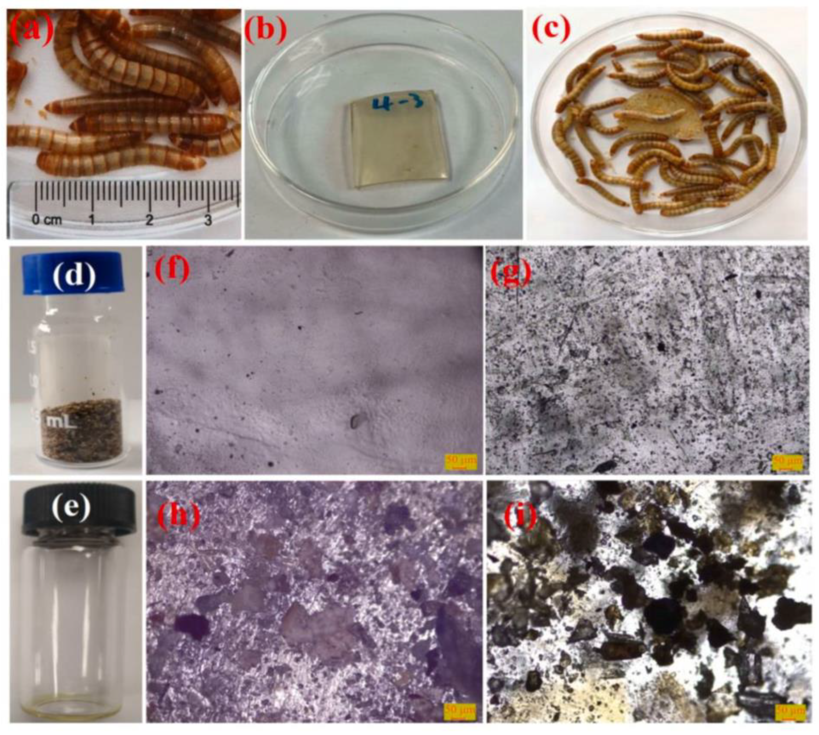 Polymers 15 01307 g001
