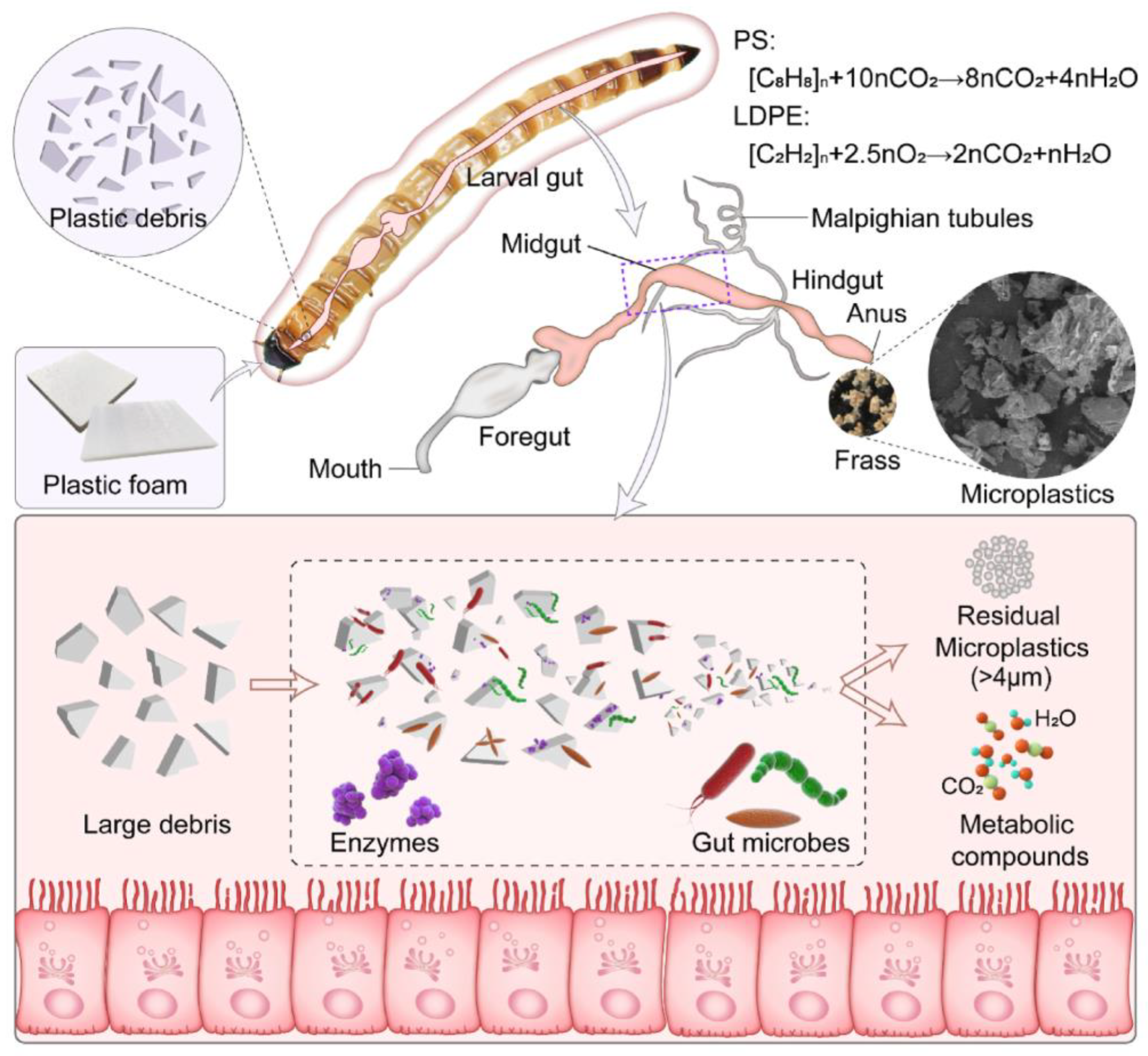 Polymers 15 01307 g004