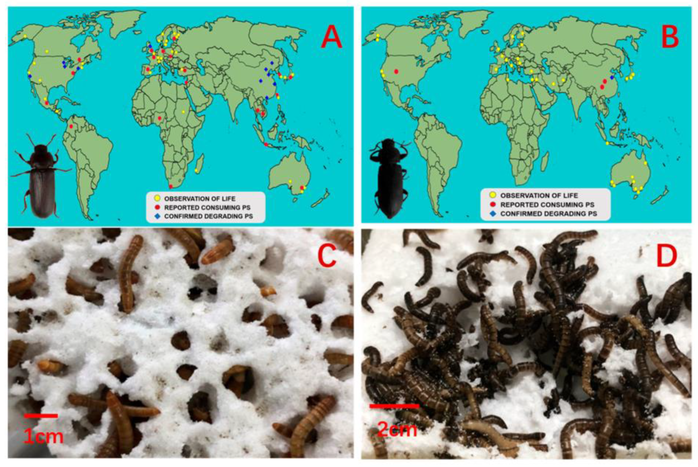 Polymers 15 01307 g010