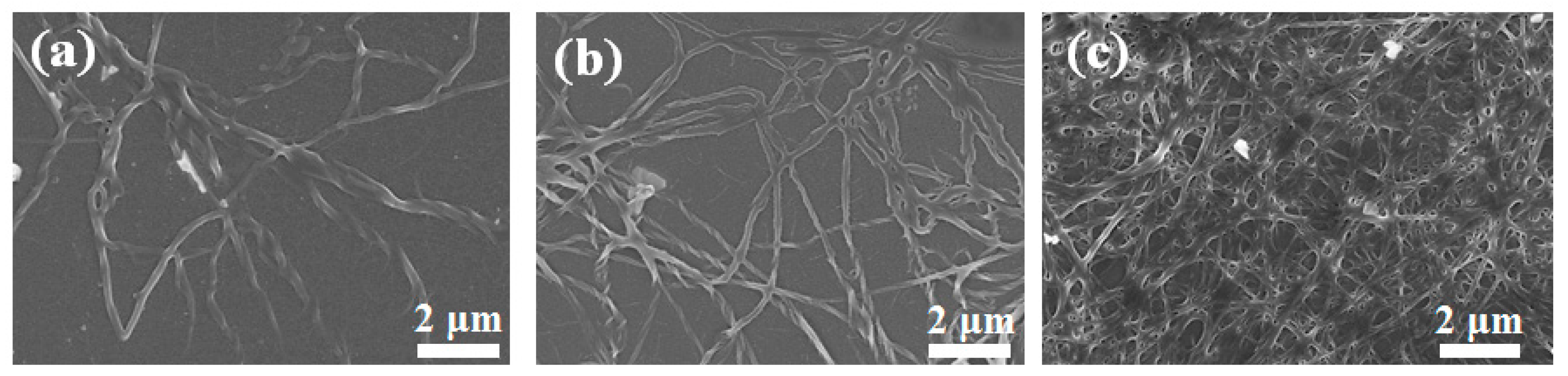 Polymers 15 01308 g002 Polymers 15 01308 g002