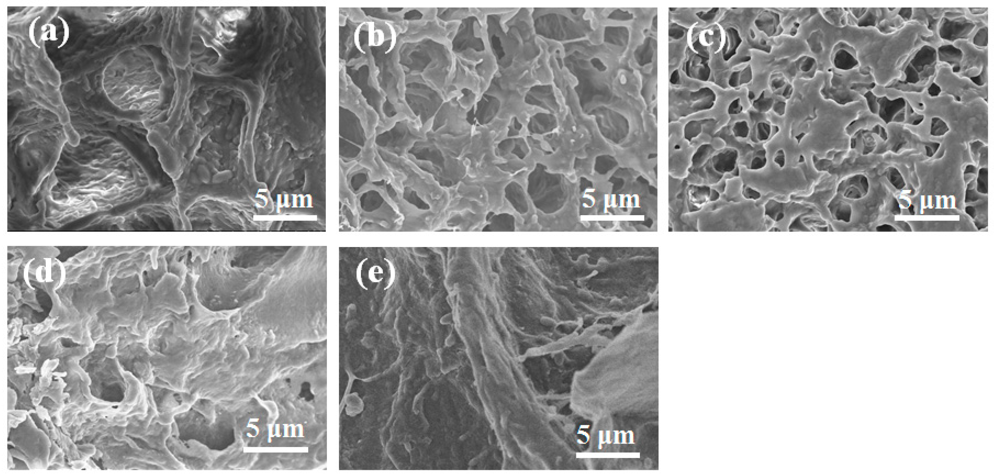 Polymers 15 01308 g003 Polymers 15 01308 g003
