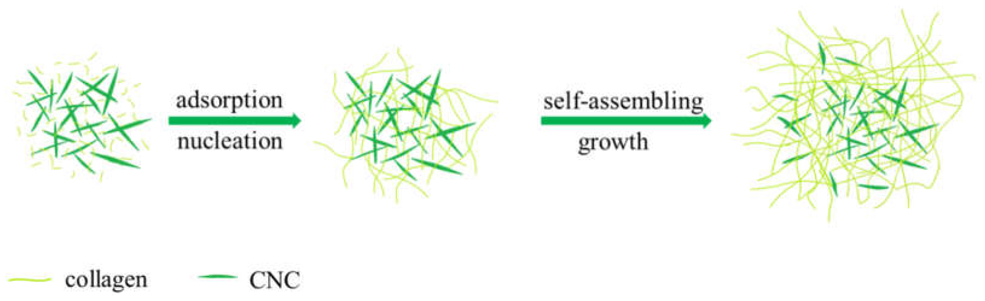 Polymers 15 01308 sch001 Polymers 15 01308 sch001