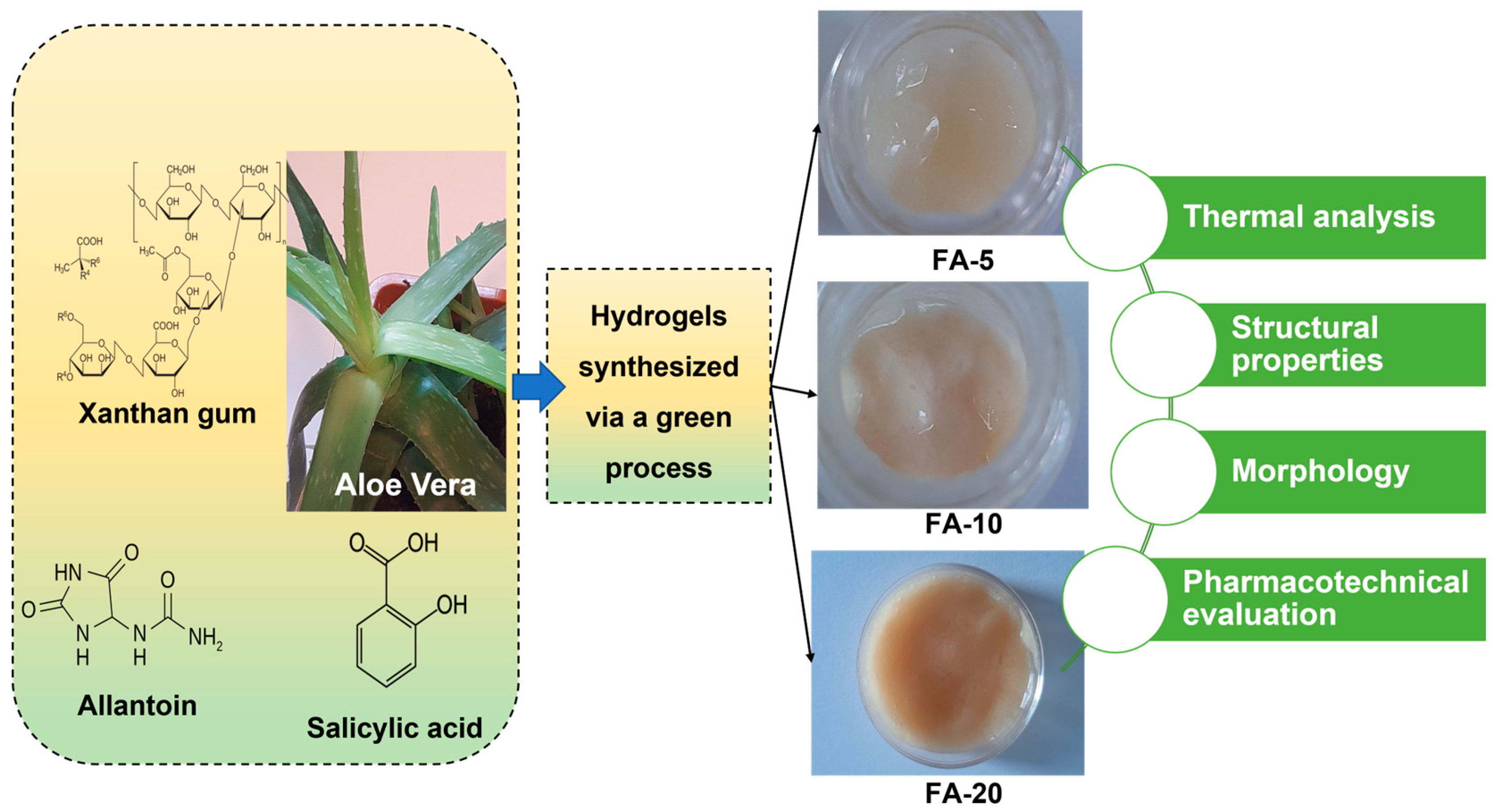 Polymers 15 01312 g001