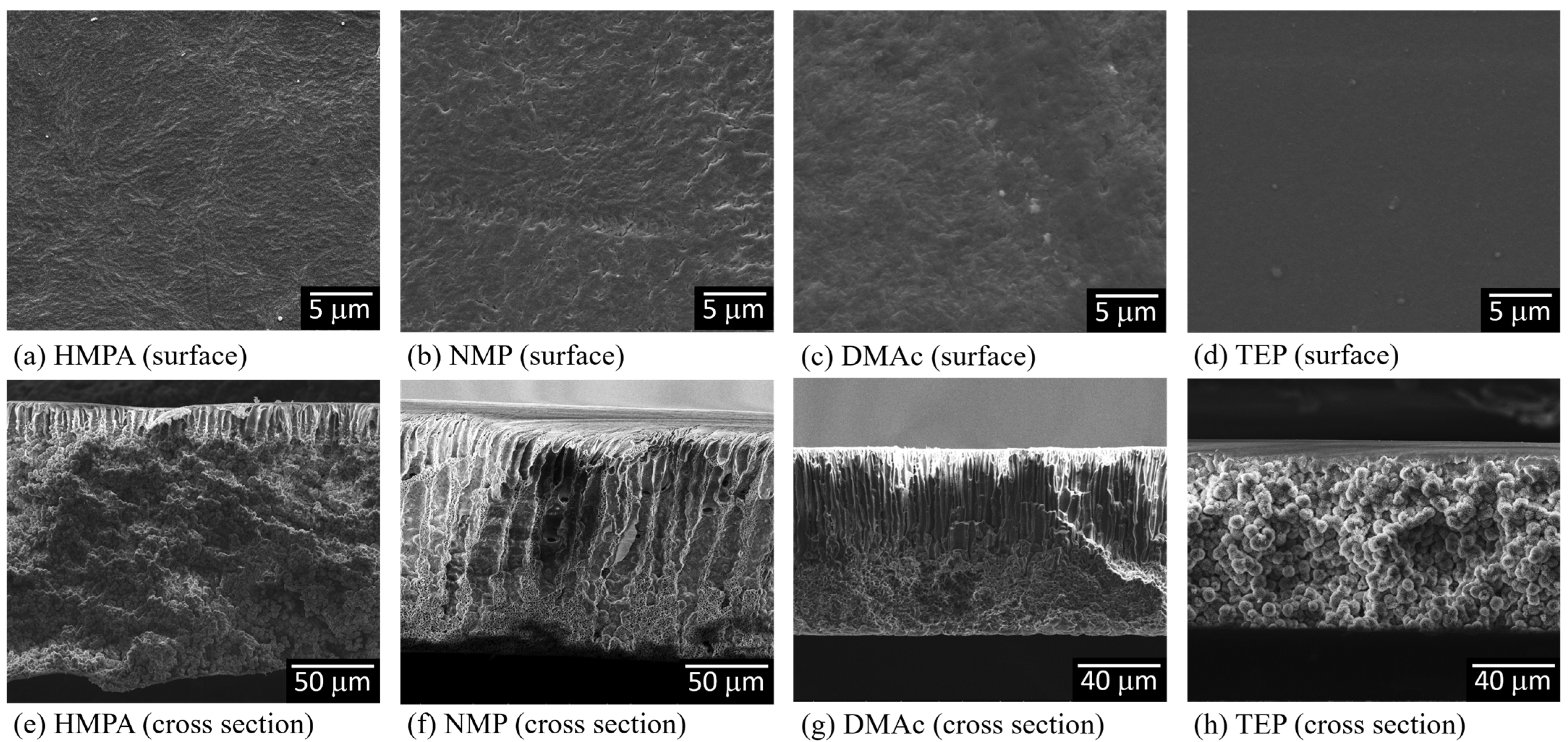 Polymers 15 01314 g004 Polymers 15 01314 g004