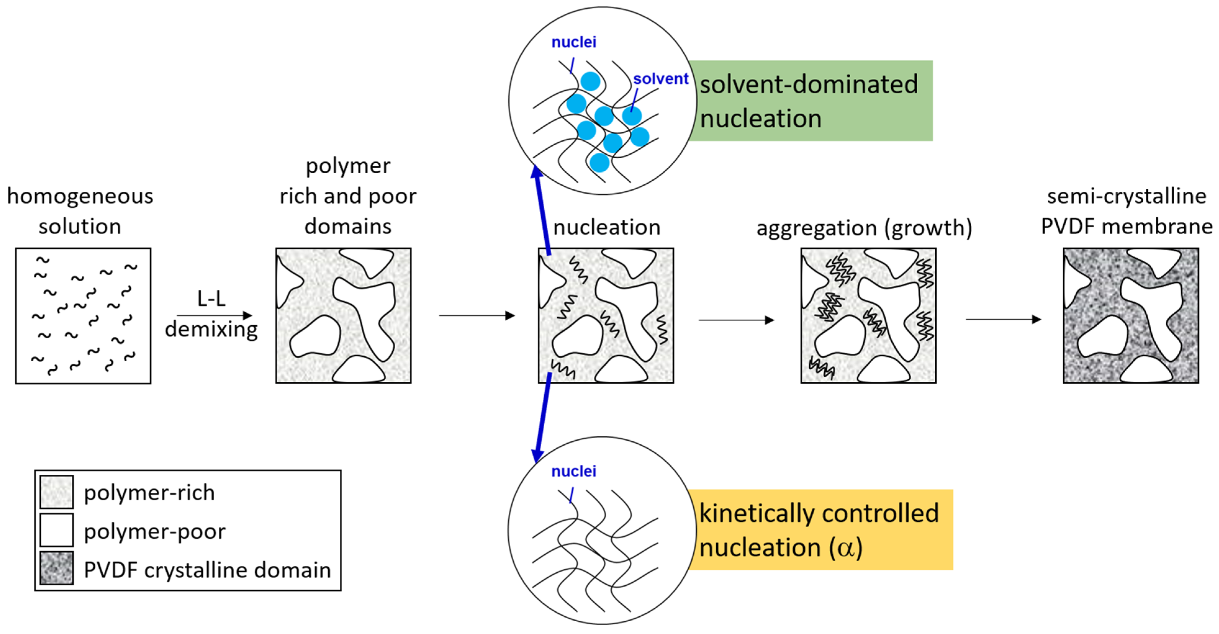Polymers 15 01314 g007 Polymers 15 01314 g007