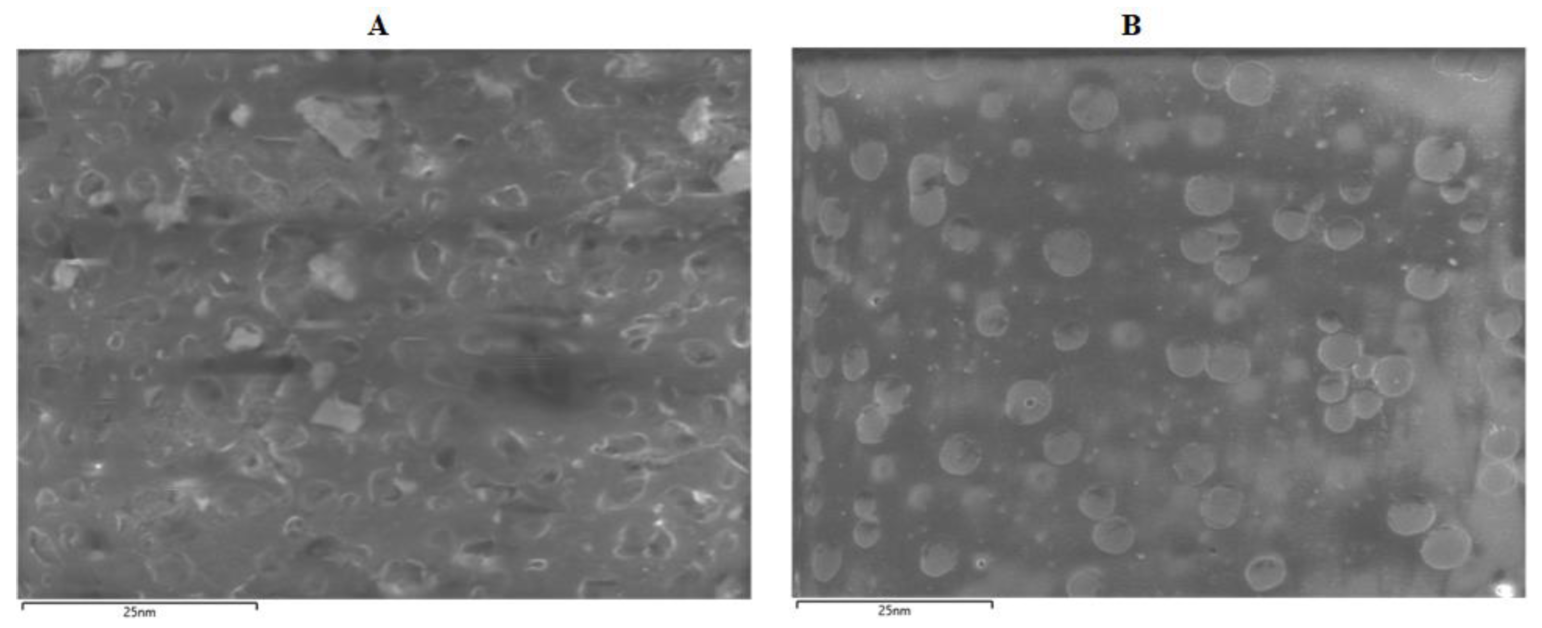 Polymers 15 01315 g006 Polymers 15 01315 g006
