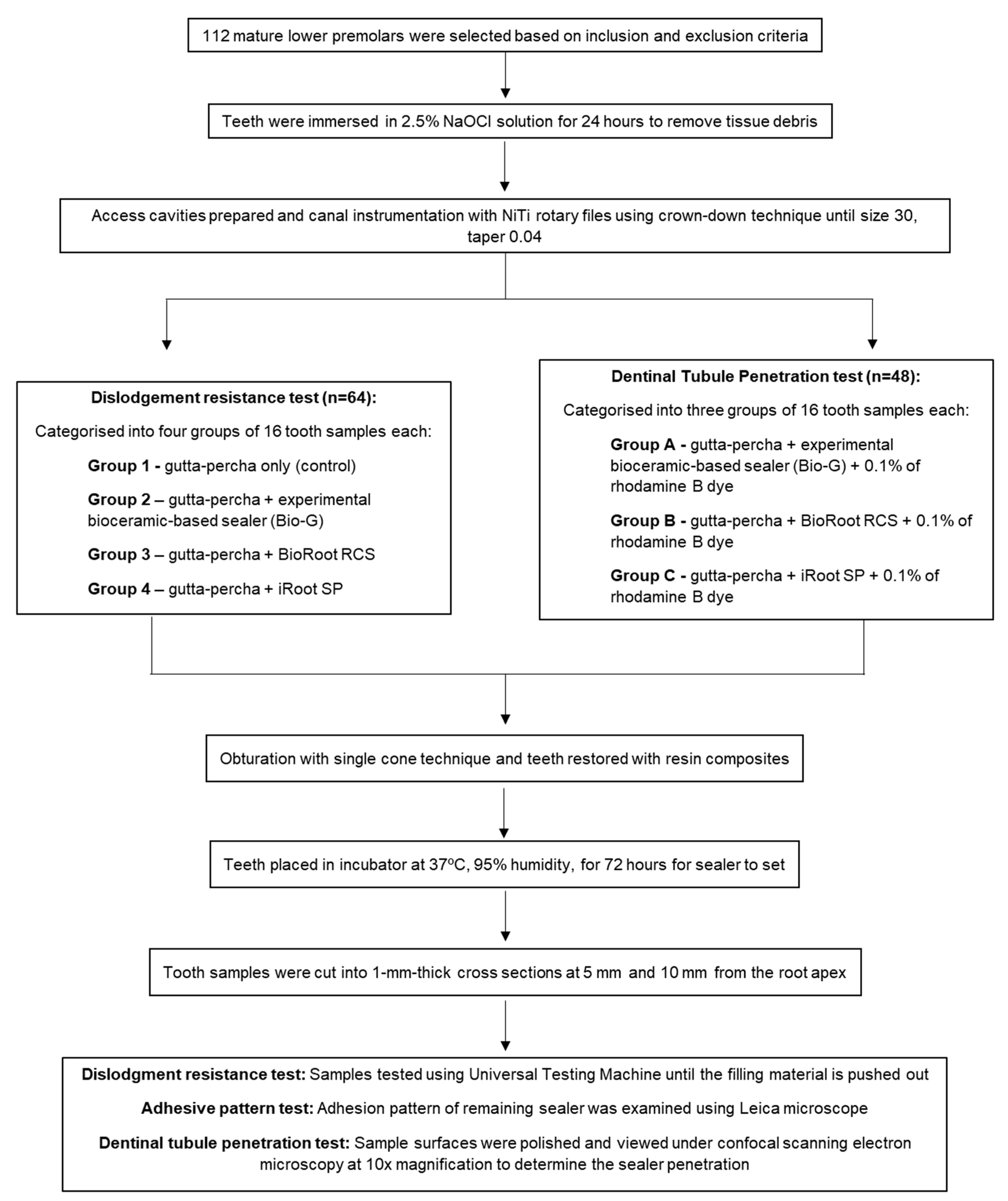 Polymers 15 01317 g001