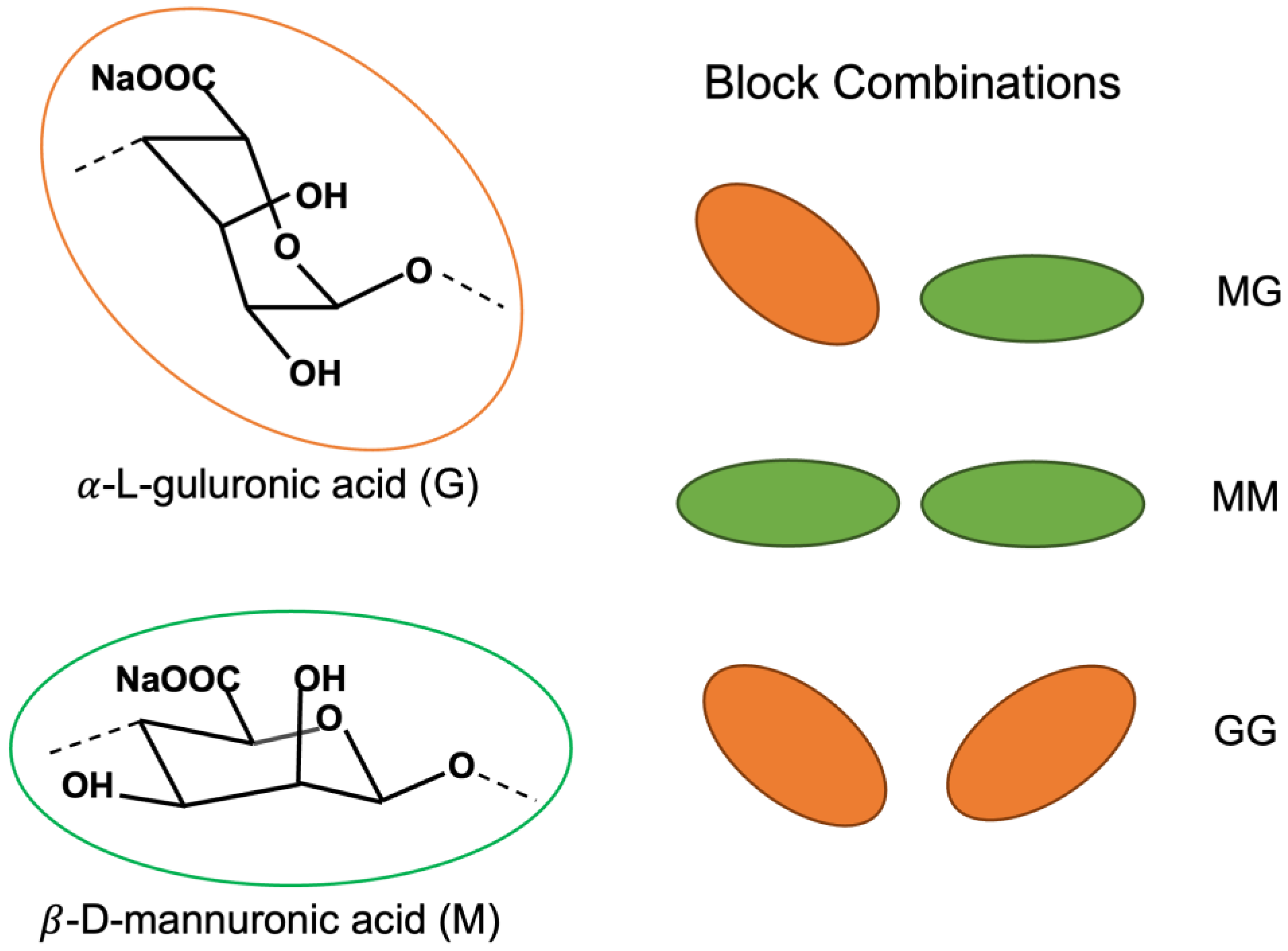 Polymers 15 01319 g001 Polymers 15 01319 g001