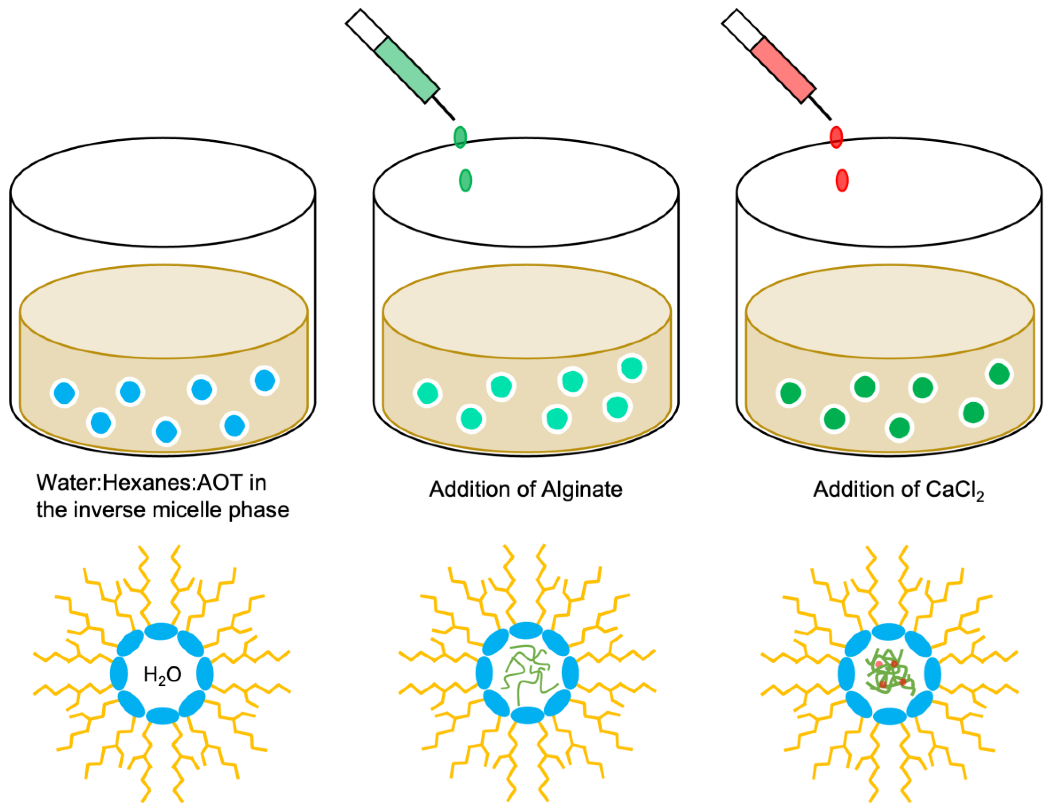 Polymers 15 01319 g004 Polymers 15 01319 g004