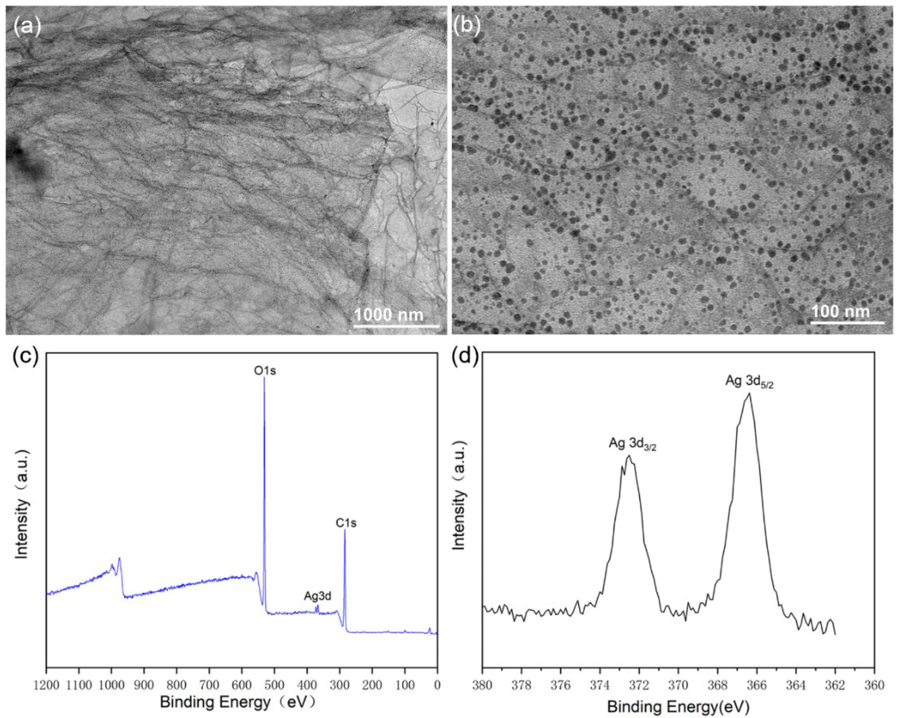 Polymers 15 01321 g004
