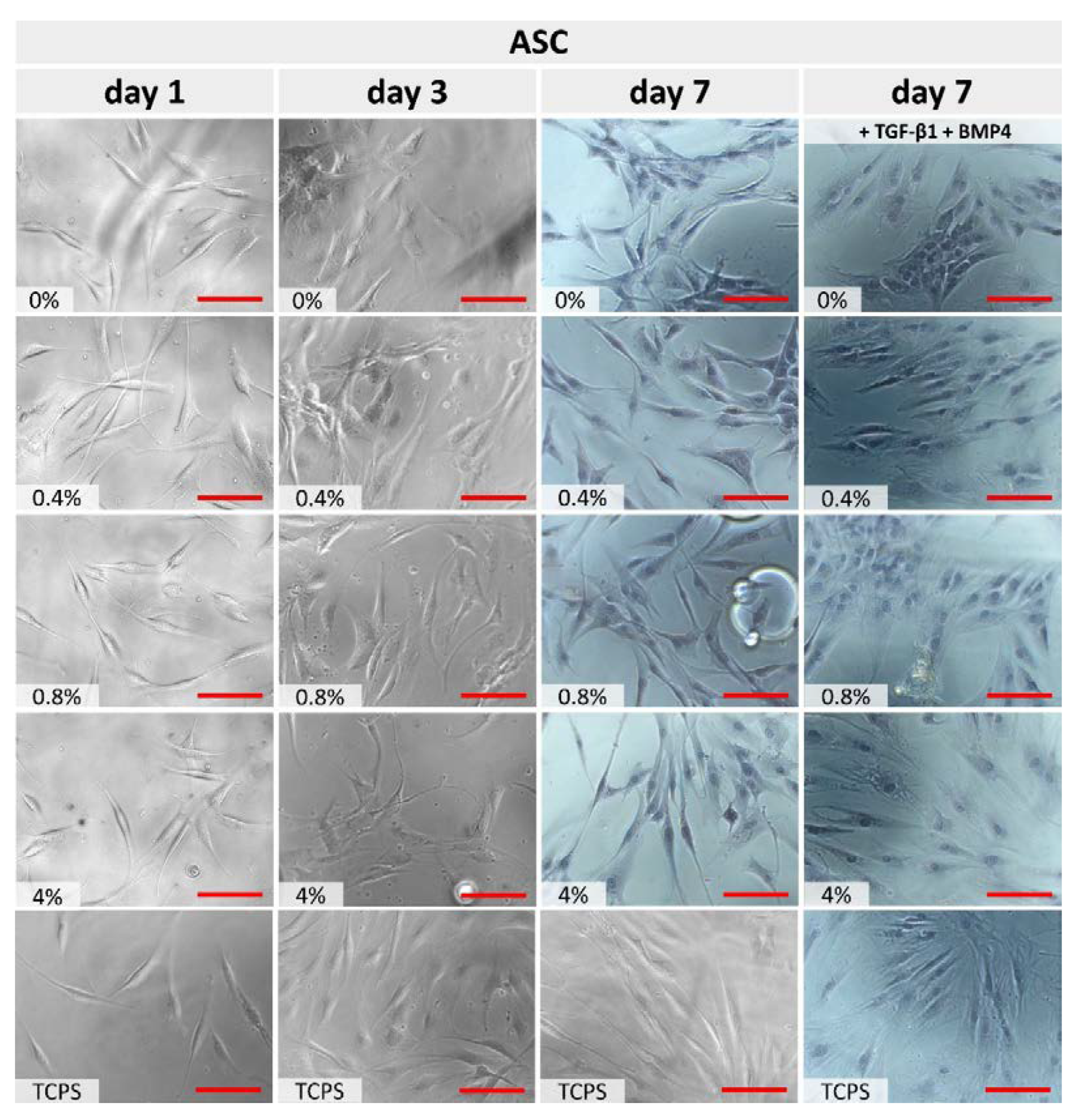 Polymers 15 01322 g005