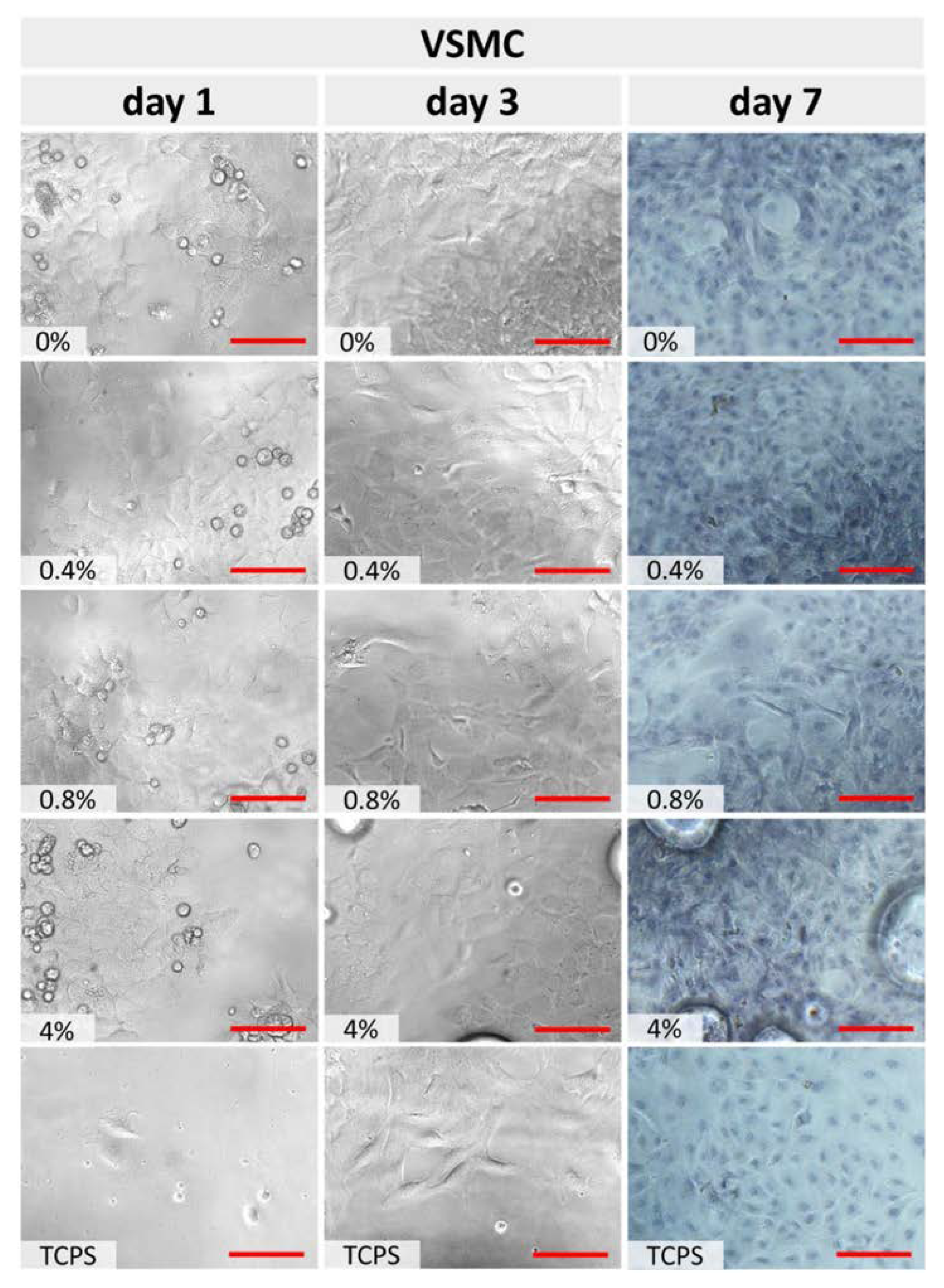 Polymers 15 01322 g006