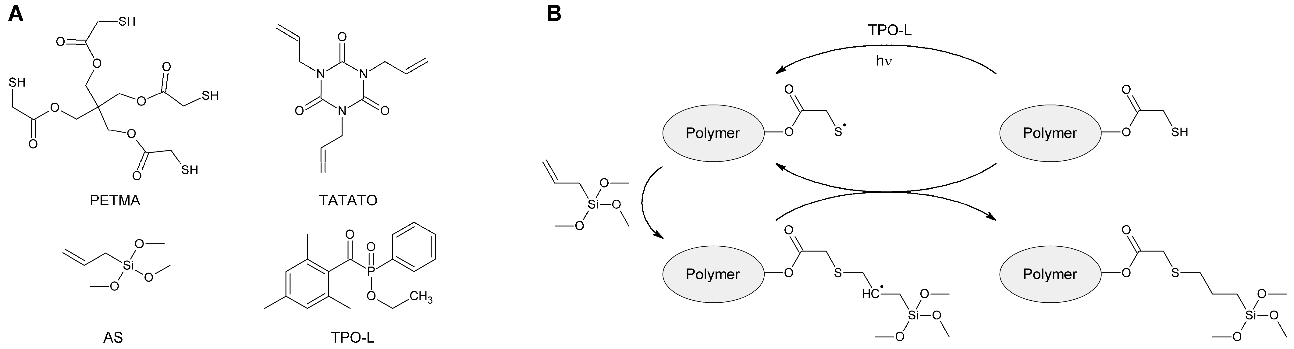 Polymers 15 01329 g002