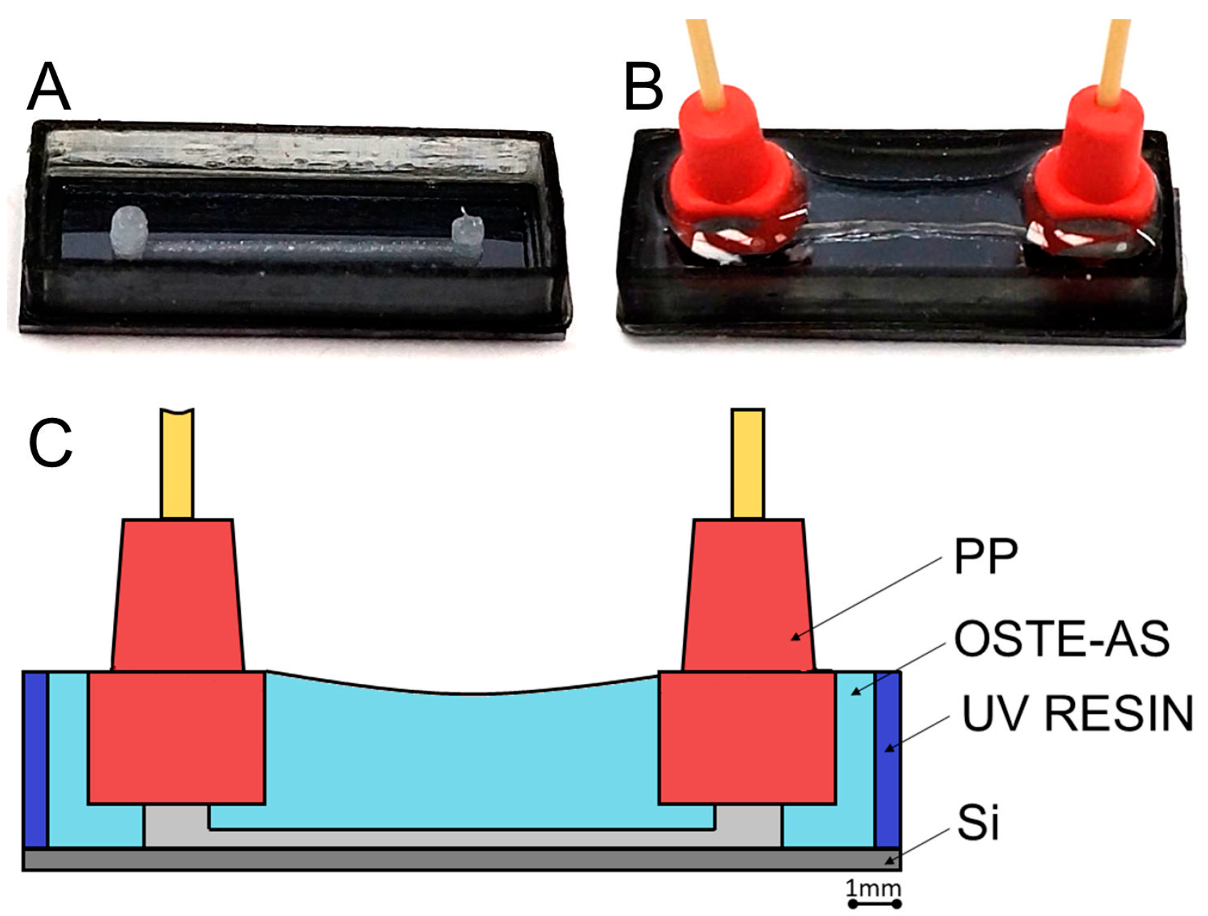 Polymers 15 01329 g008