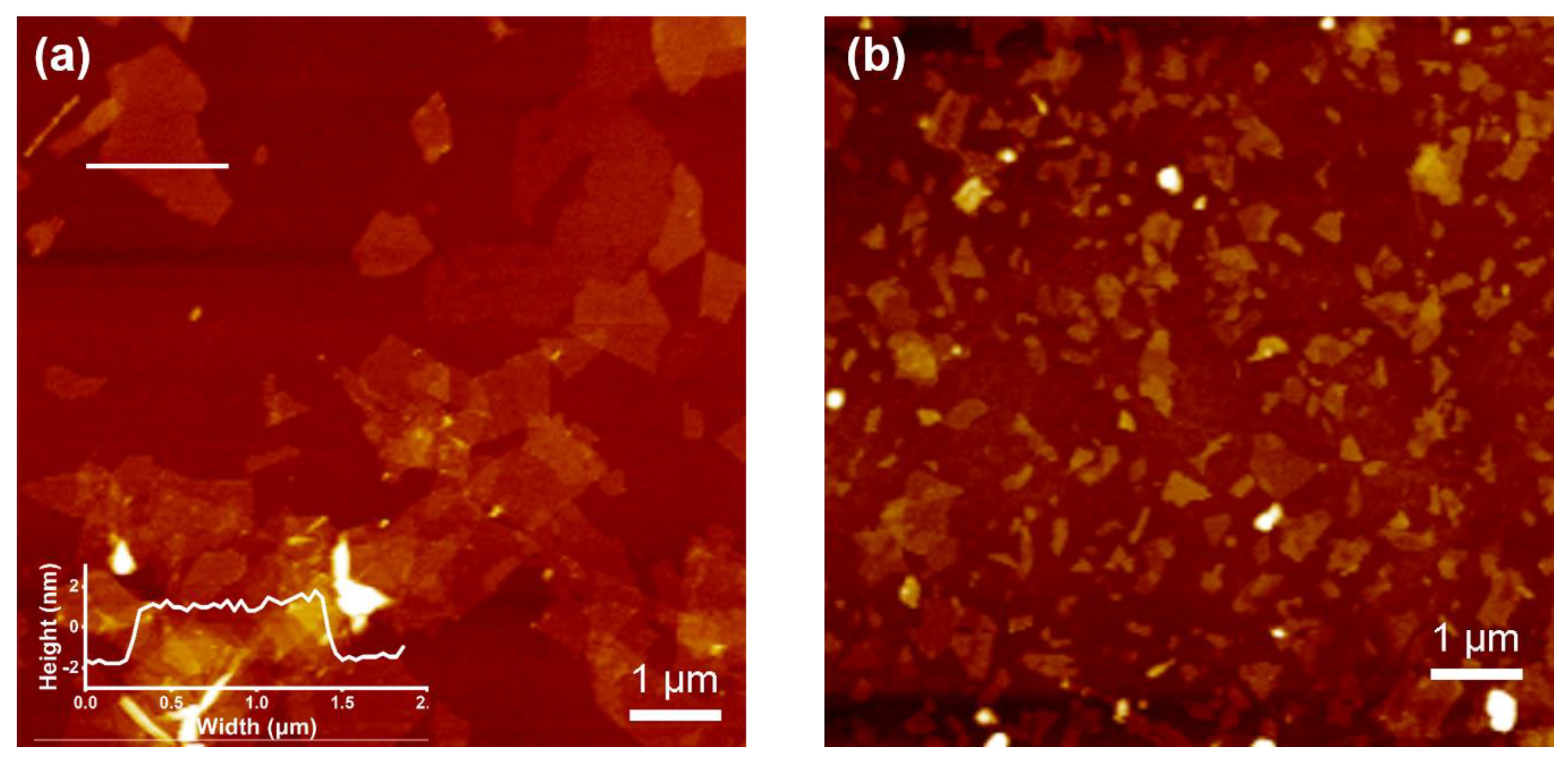 Polymers 15 01330 g003 Polymers 15 01330 g003