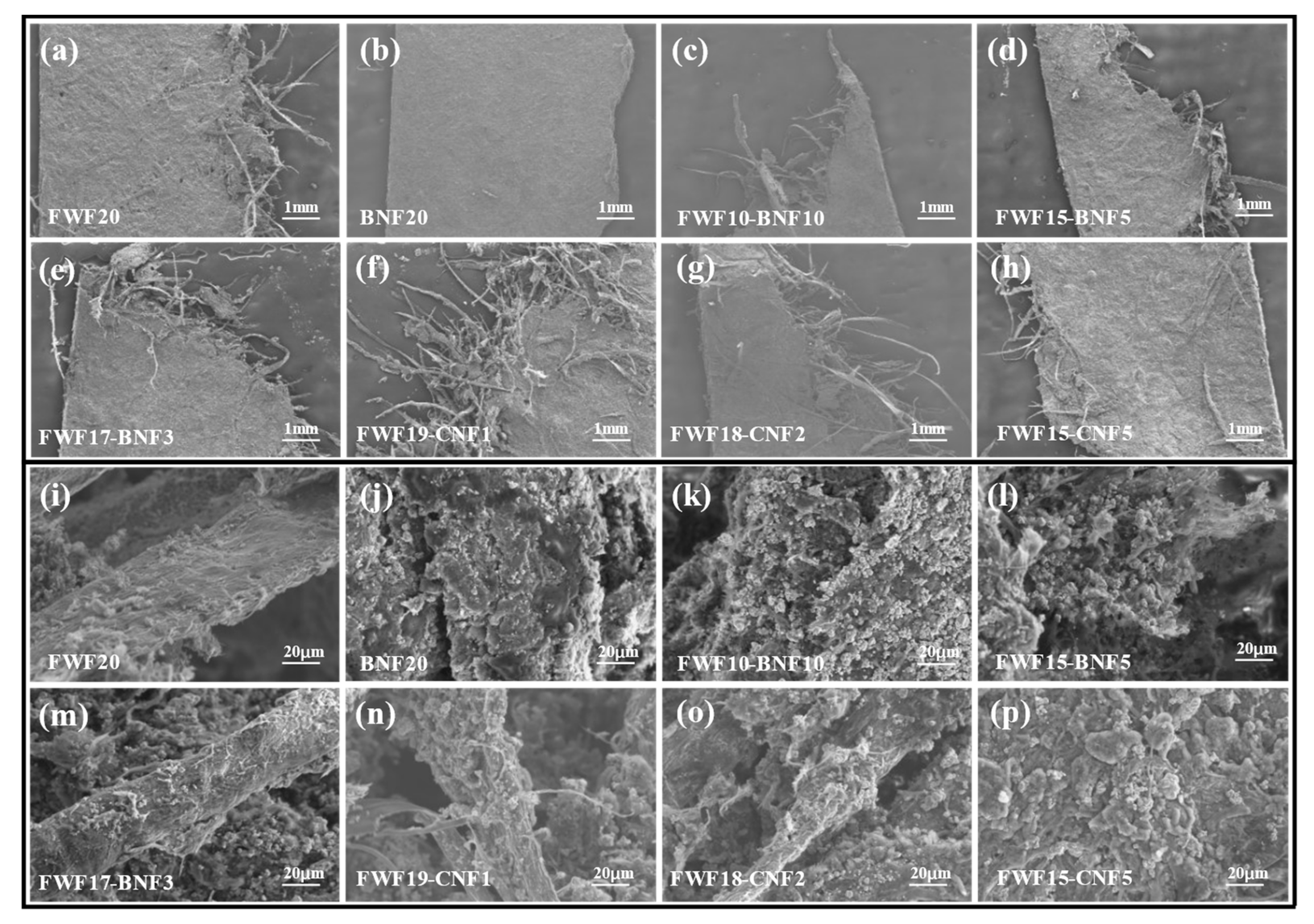 Polymers 15 01334 g004 Polymers 15 01334 g004