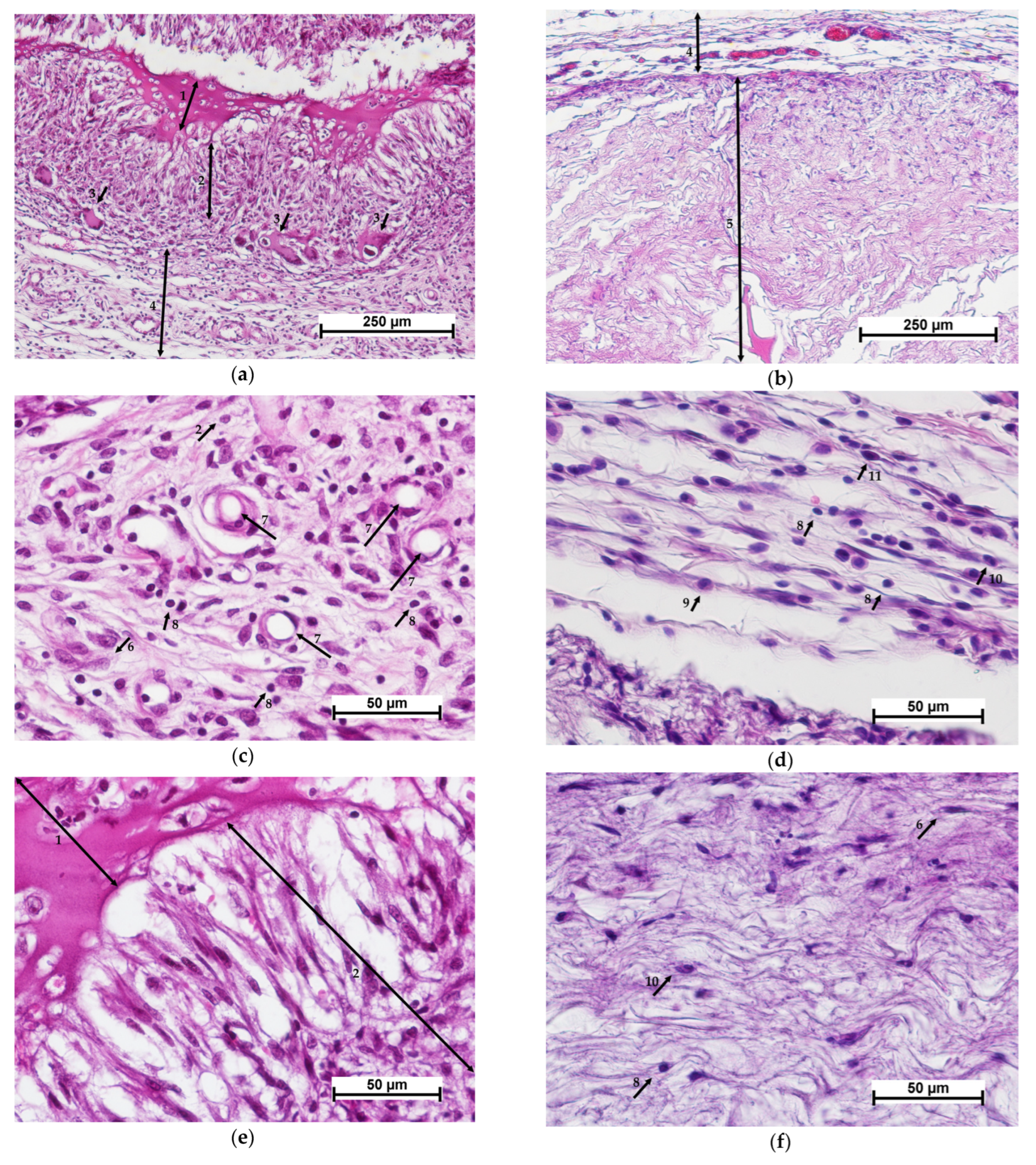 Polymers 15 01337 g004 Polymers 15 01337 g004
