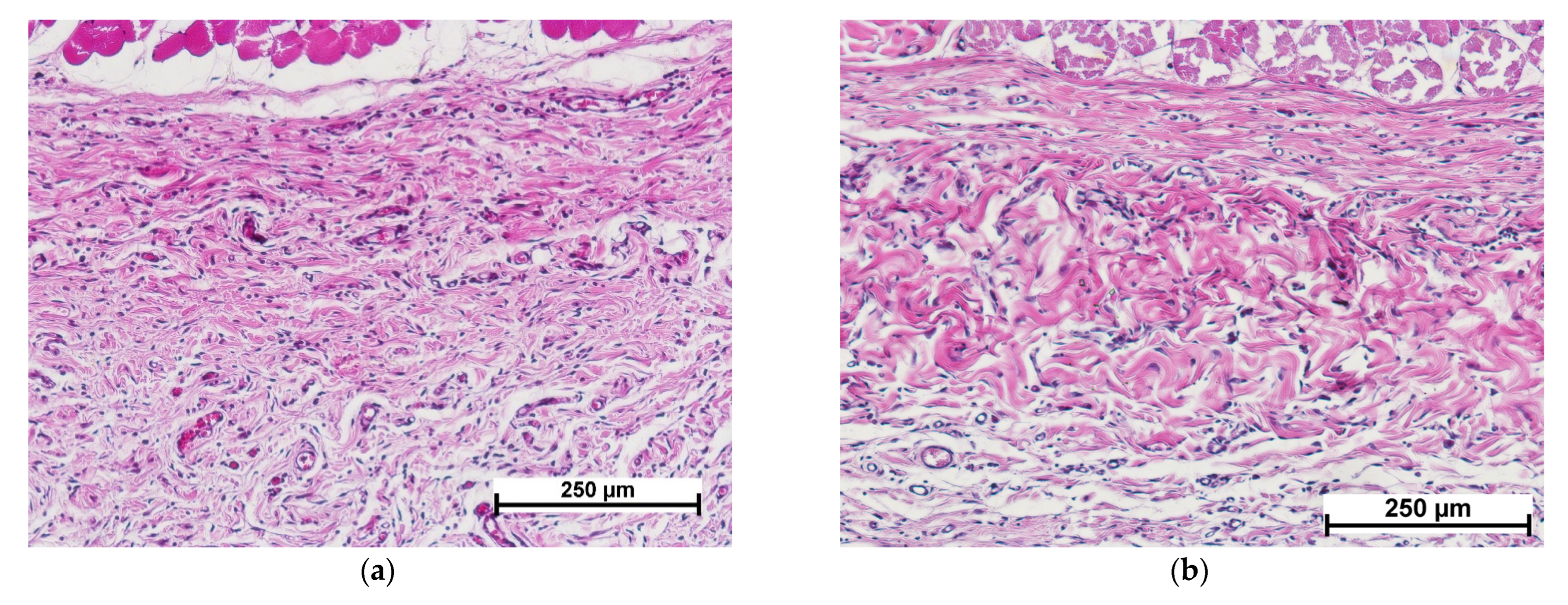 Polymers 15 01337 g006a Polymers 15 01337 g006a