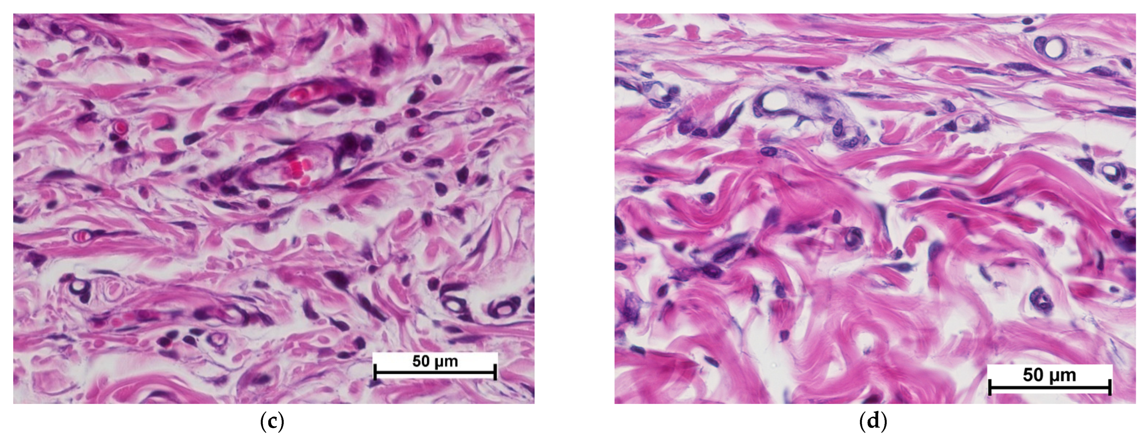 Polymers 15 01337 g006b Polymers 15 01337 g006b
