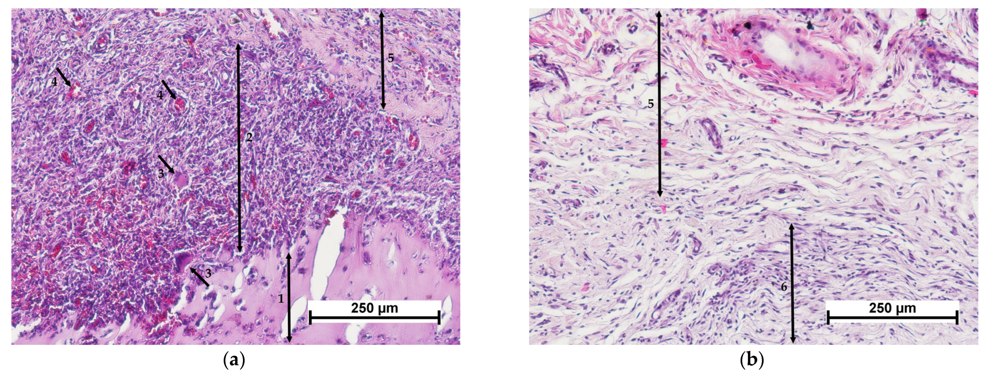 Polymers 15 01337 g007a Polymers 15 01337 g007a