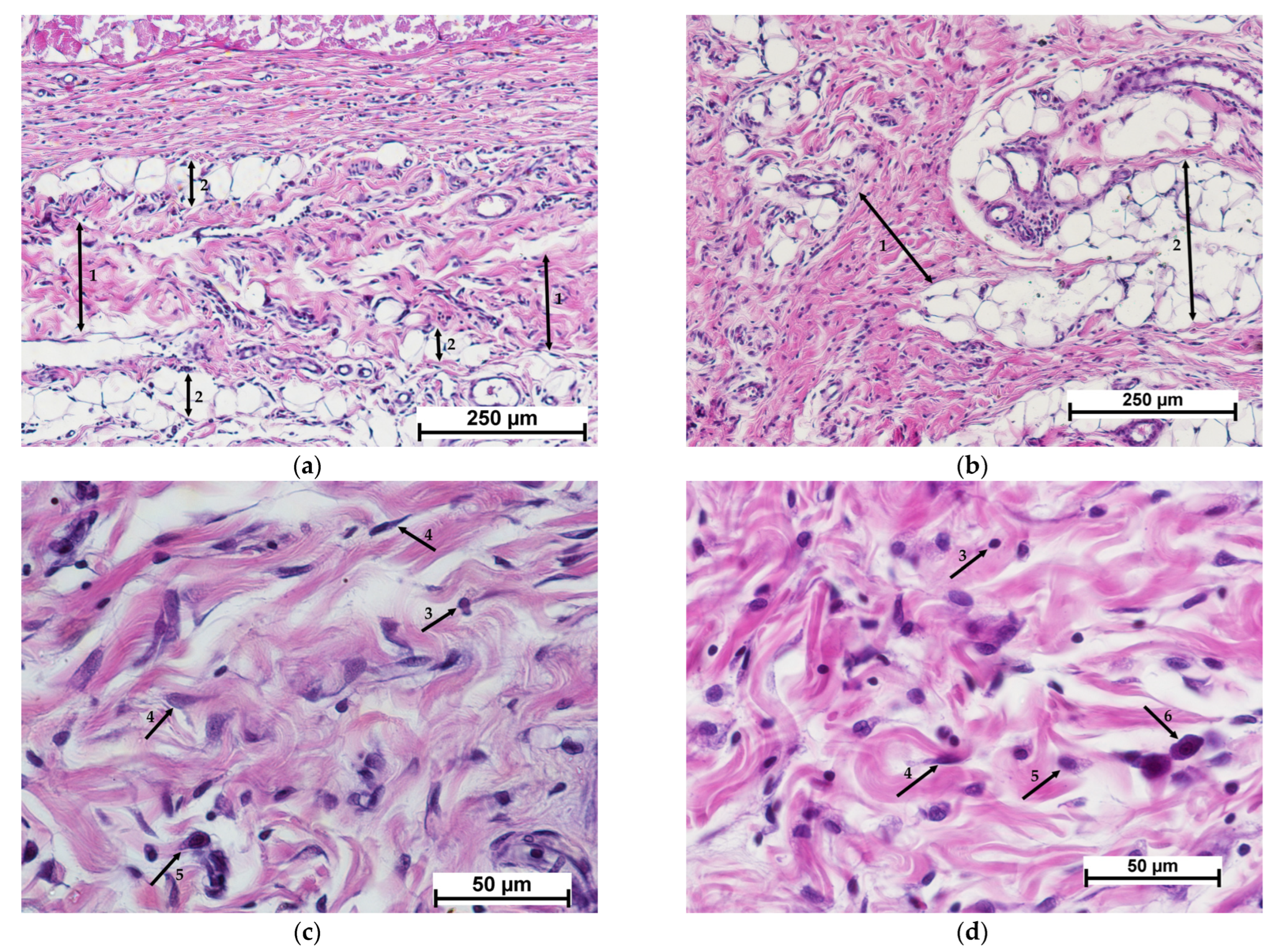 Polymers 15 01337 g009 Polymers 15 01337 g009