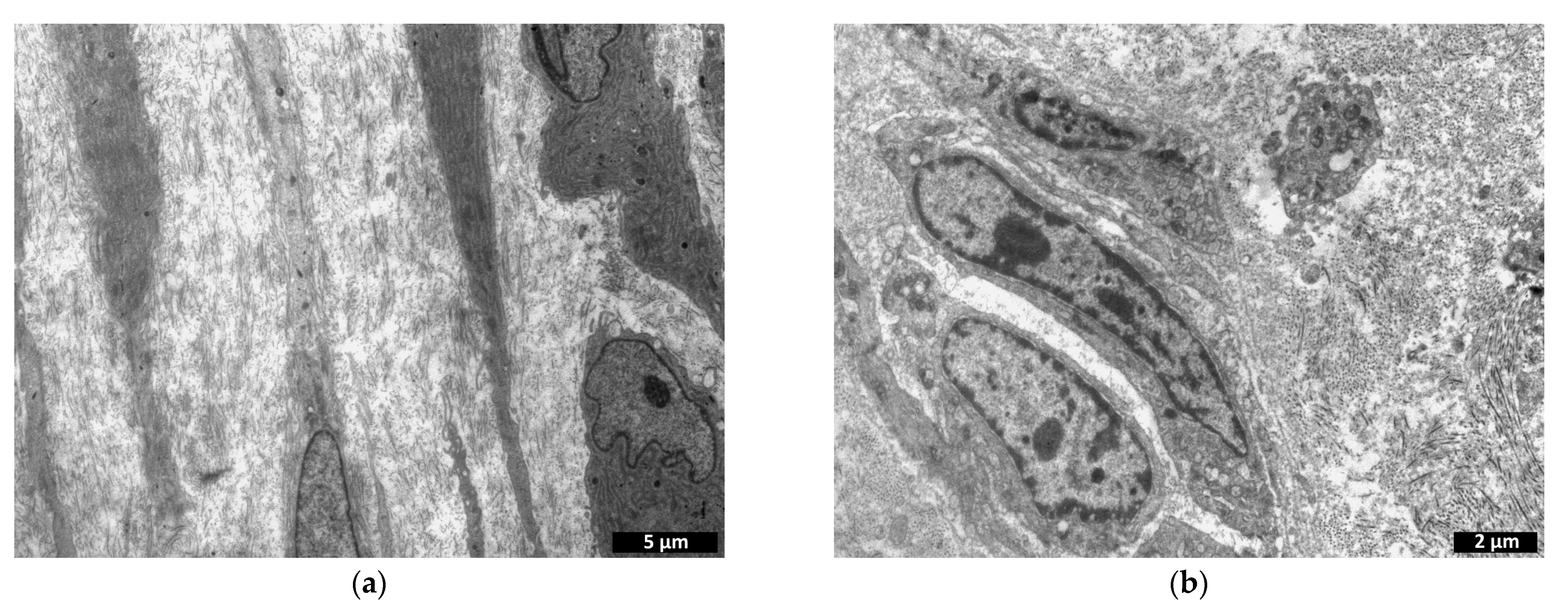 Polymers 15 01337 g016a Polymers 15 01337 g016a