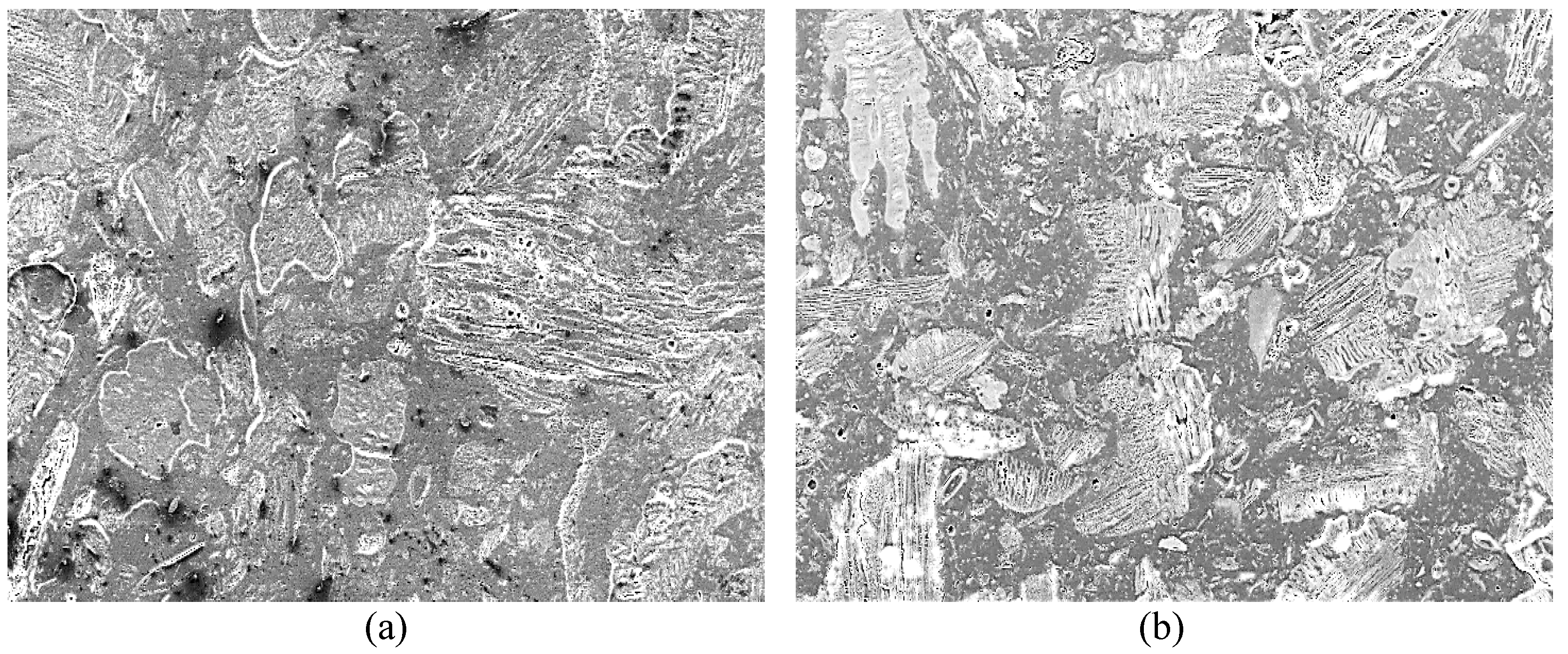 Polymers 15 01338 g003 Polymers 15 01338 g003