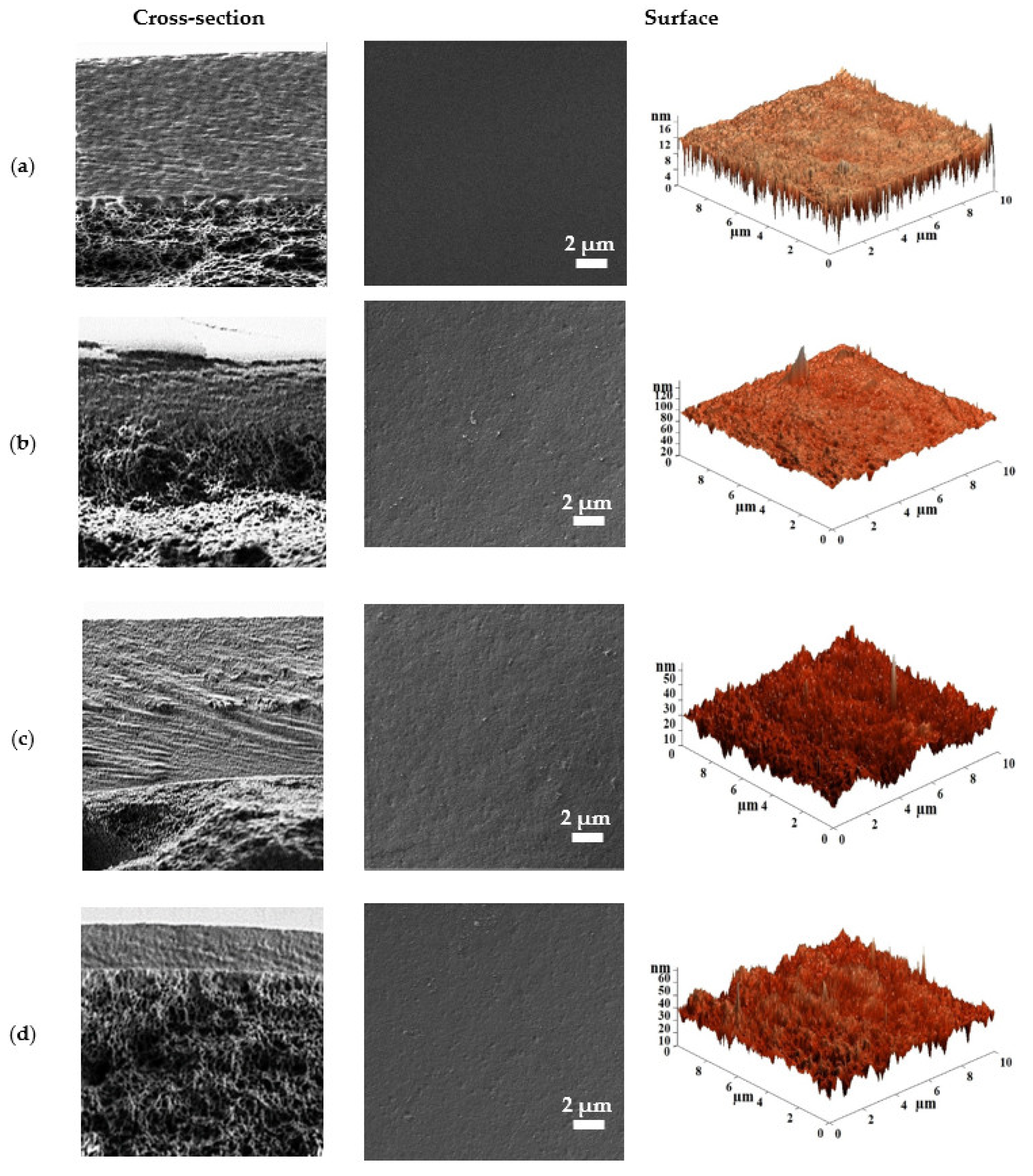 Polymers 15 01341 g011 Polymers 15 01341 g011