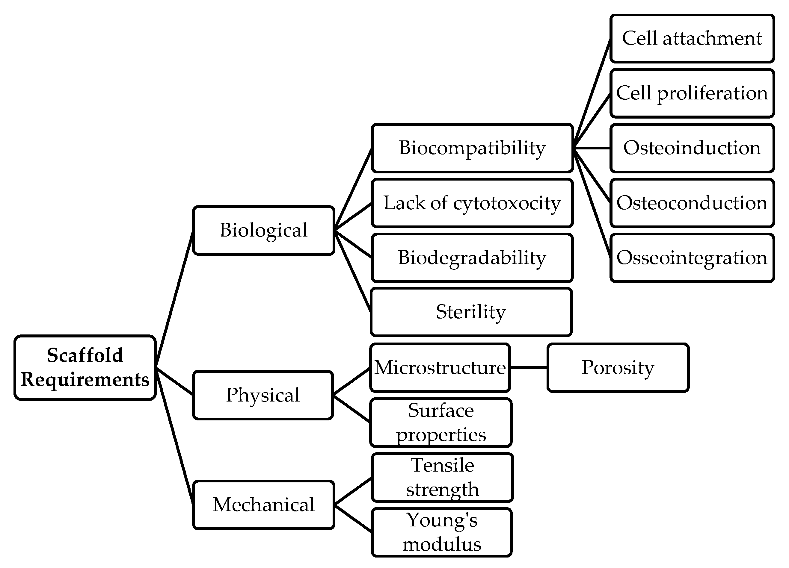 Polymers 15 01342 g002