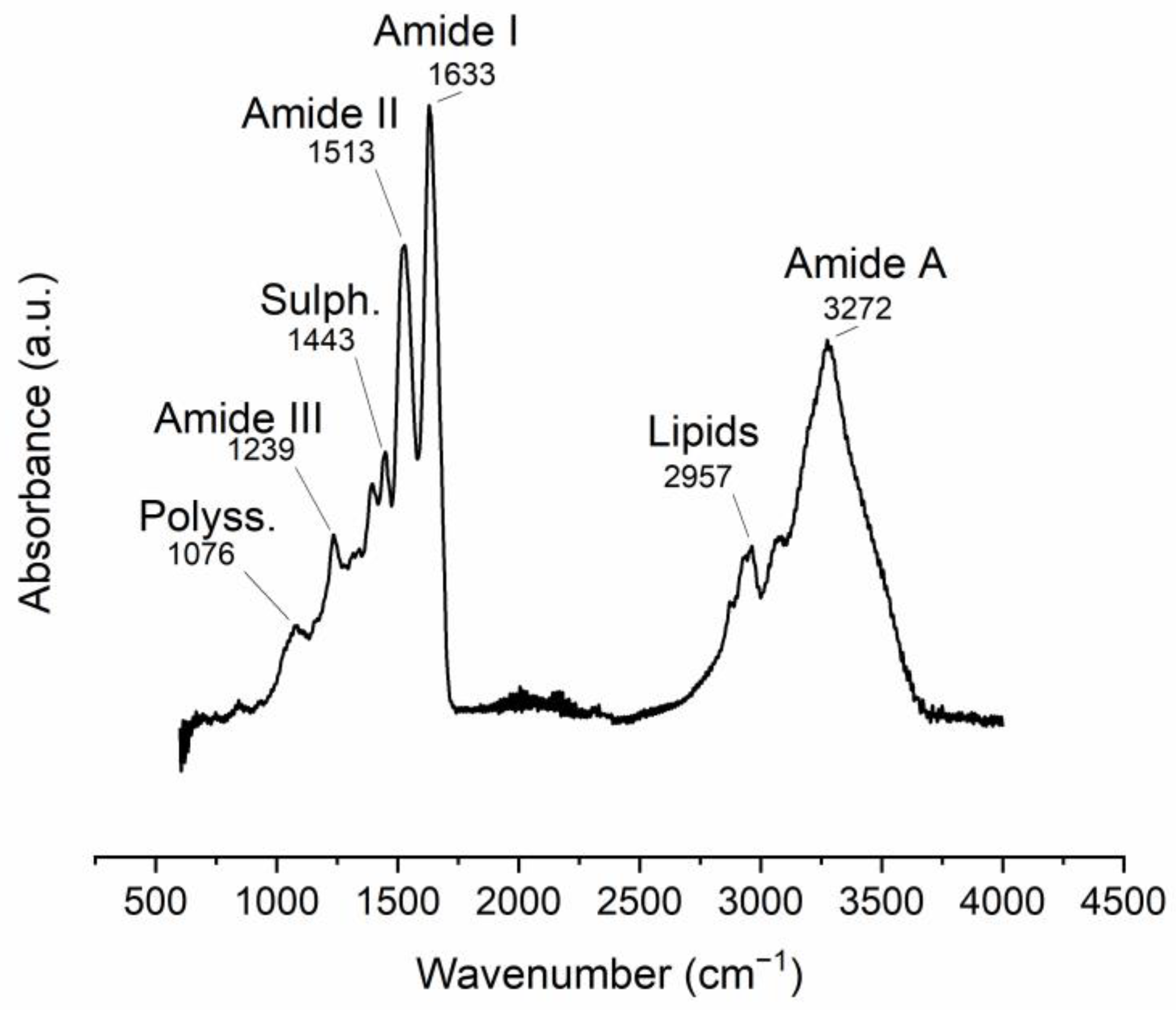 Polymers 15 01342 g005 Polymers 15 01342 g005