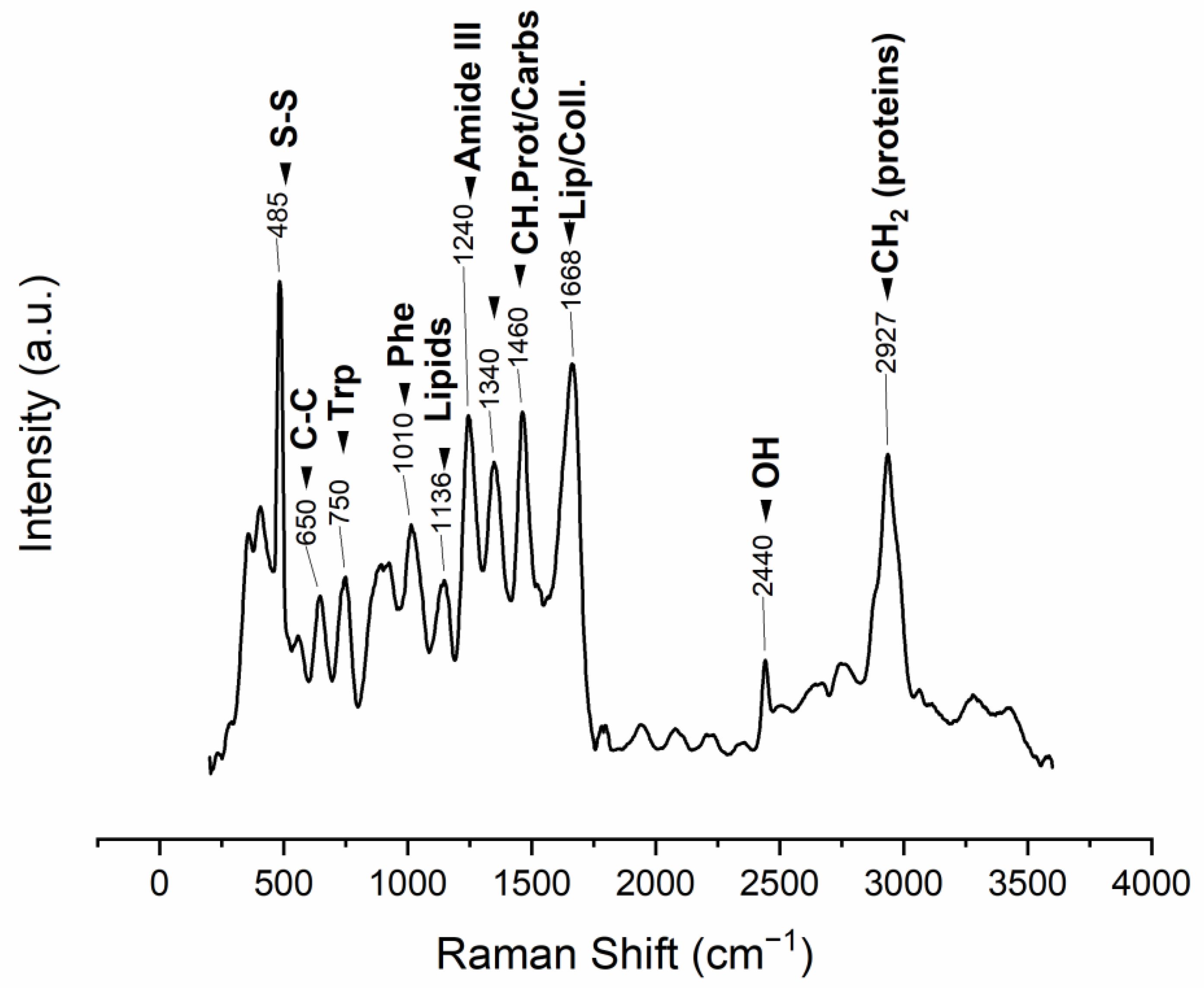 Polymers 15 01342 g006 Polymers 15 01342 g006