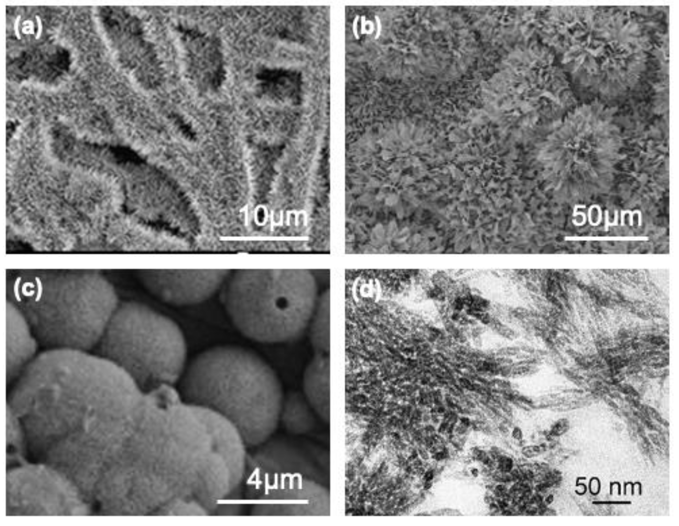 Polymers 15 01342 g009 Polymers 15 01342 g009