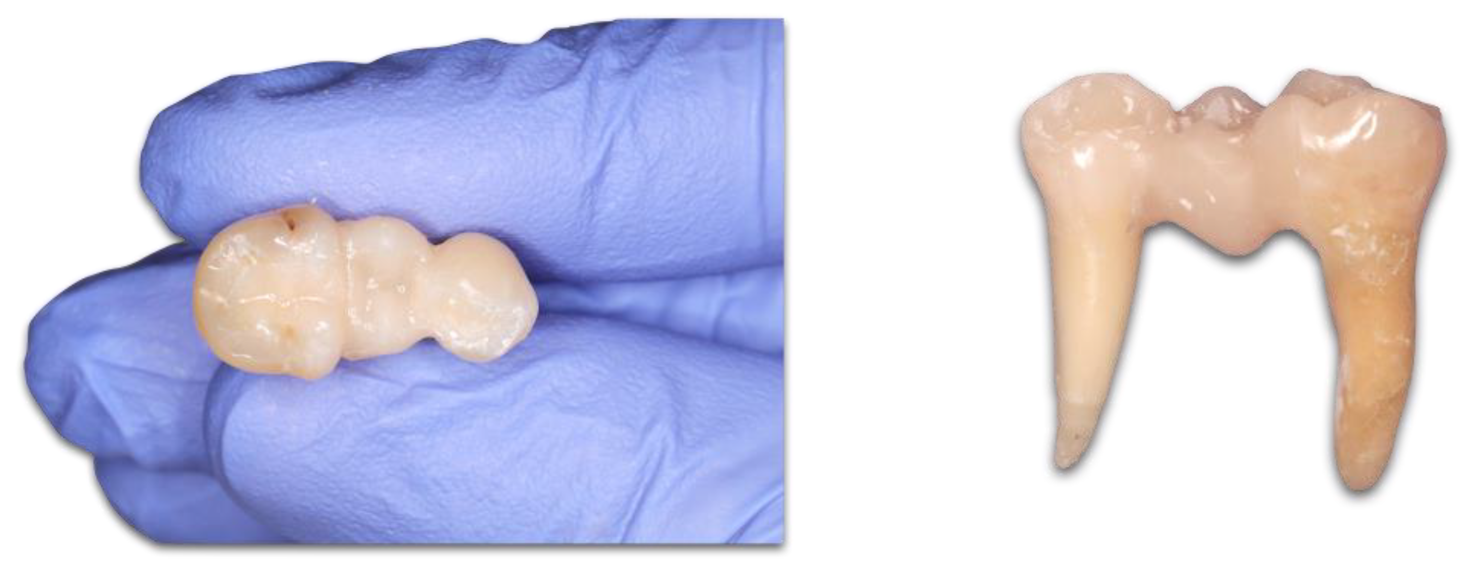 Polymers 15 01343 g002