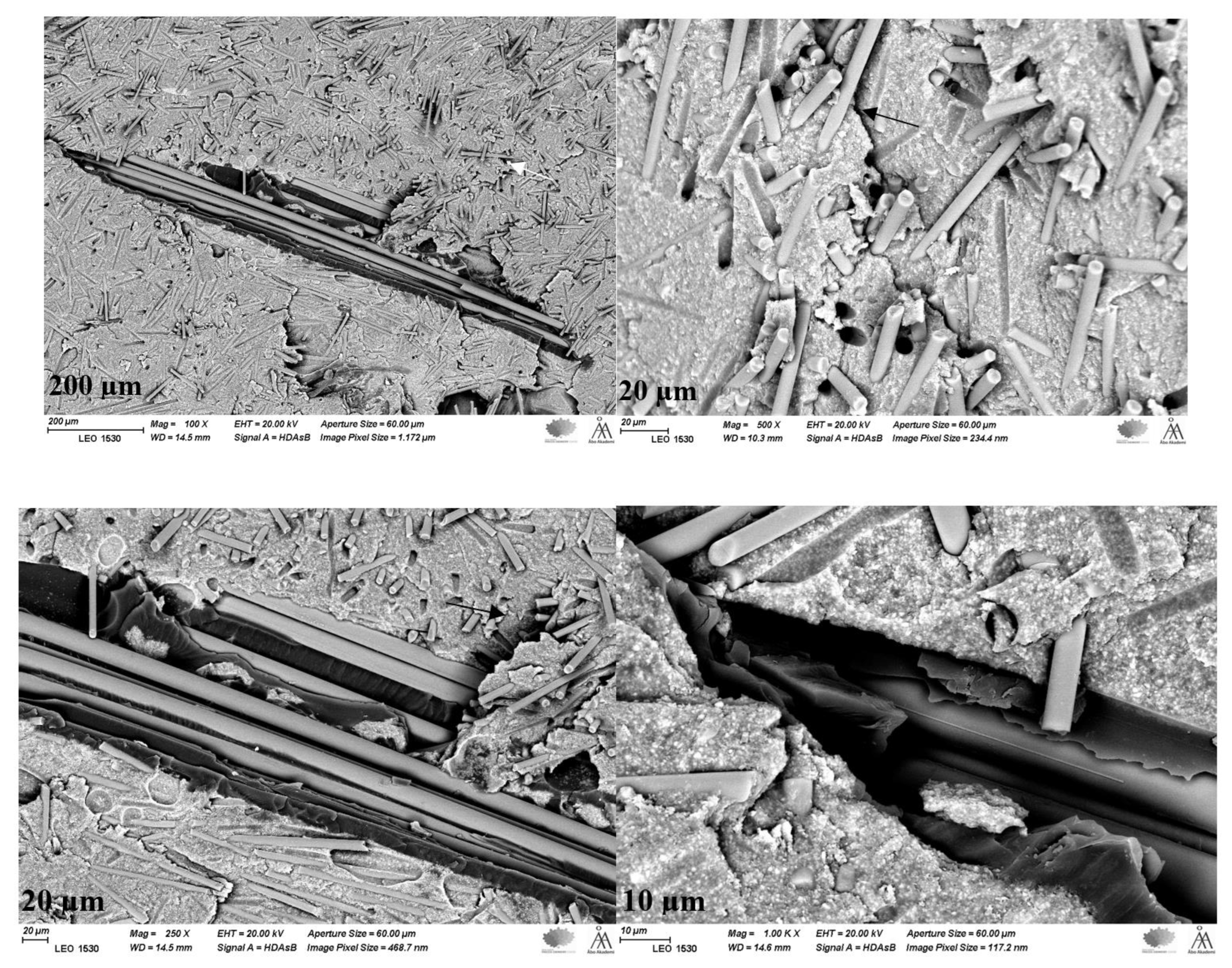 Polymers 15 01343 g006